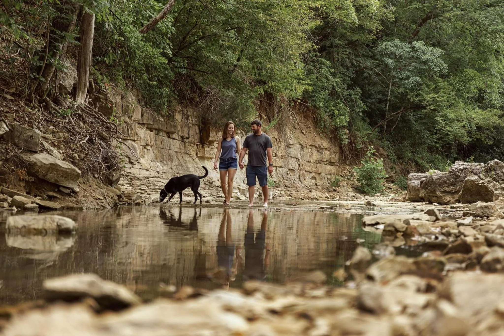 Natural landscape in The Ozarker Lodge