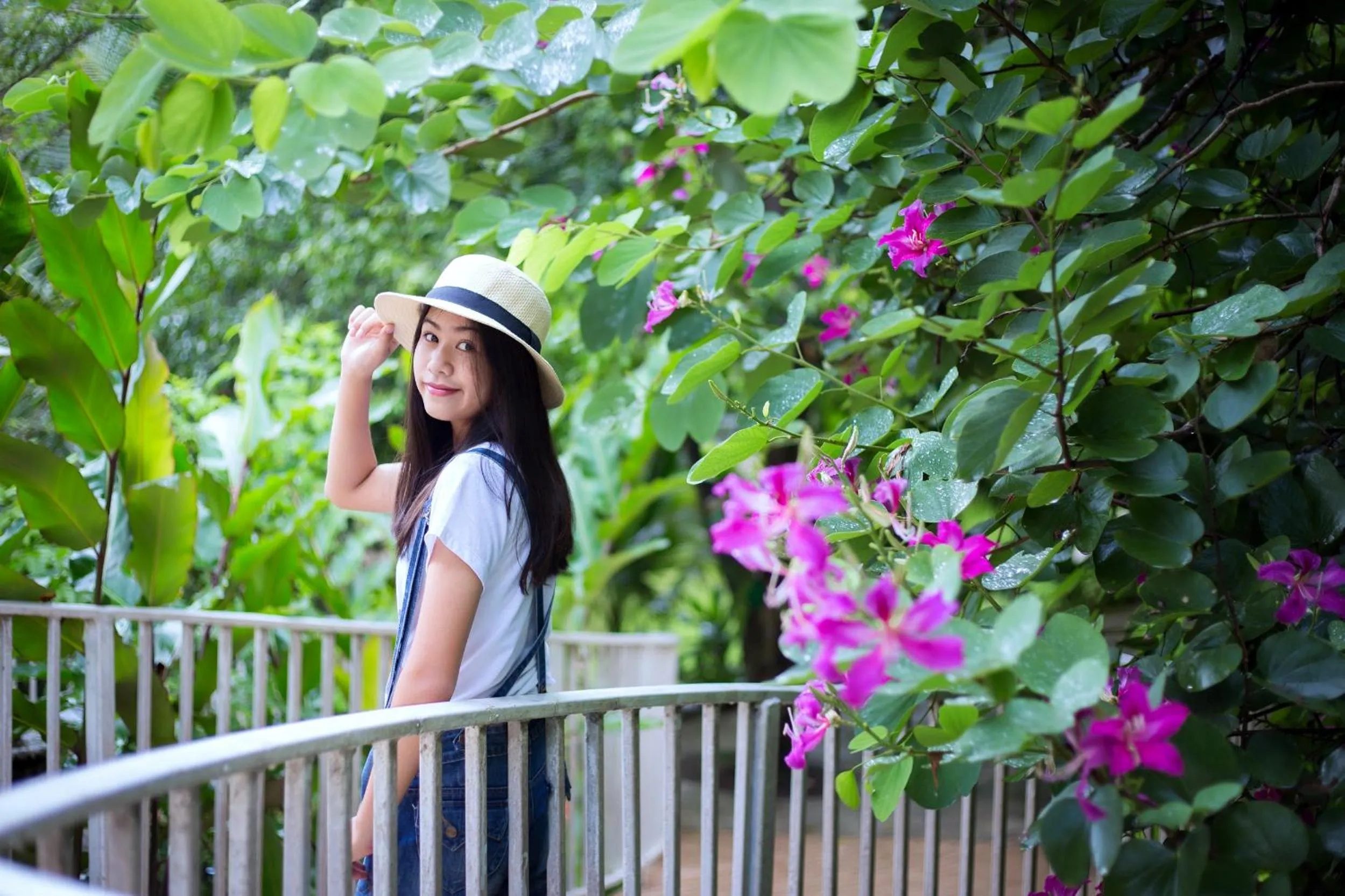 Day in Watermill Resort