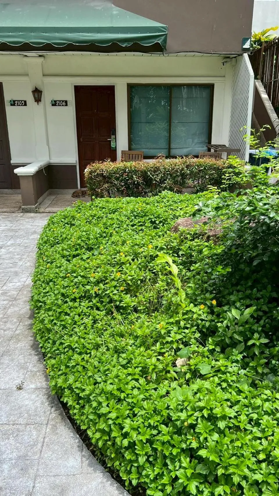 Garden in The Viridian Resort Patong