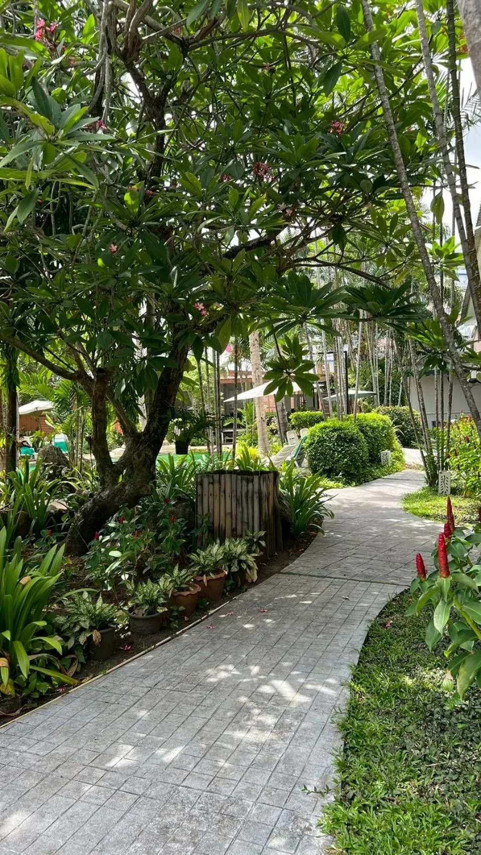 Inner courtyard view in The Viridian Resort Patong