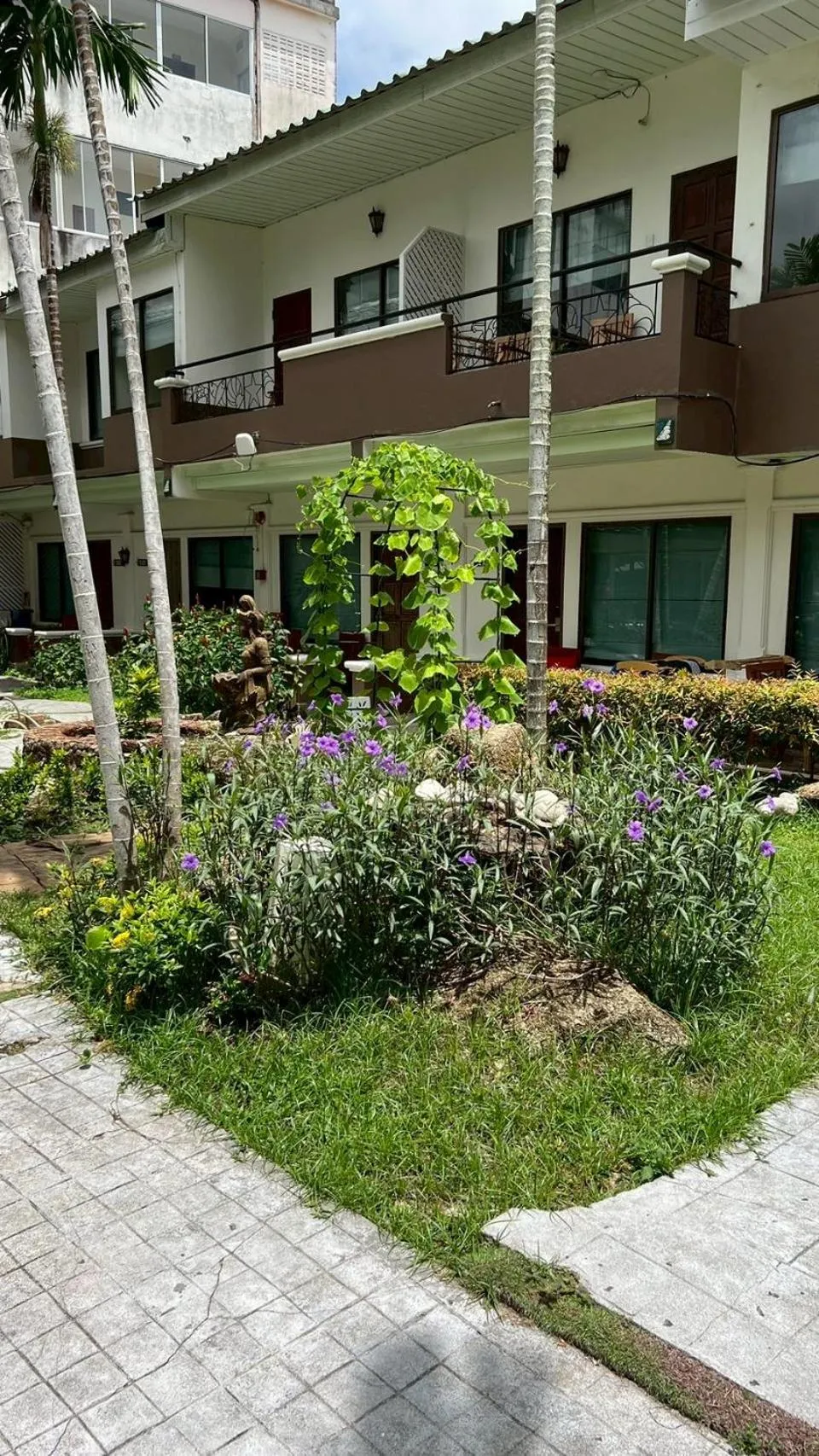 Garden in The Viridian Resort Patong