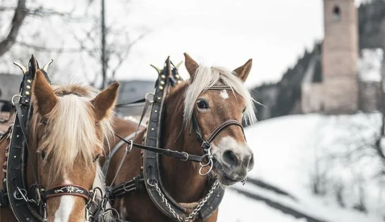 Winter in Hotel Mitterplatt (Schenna Resort)