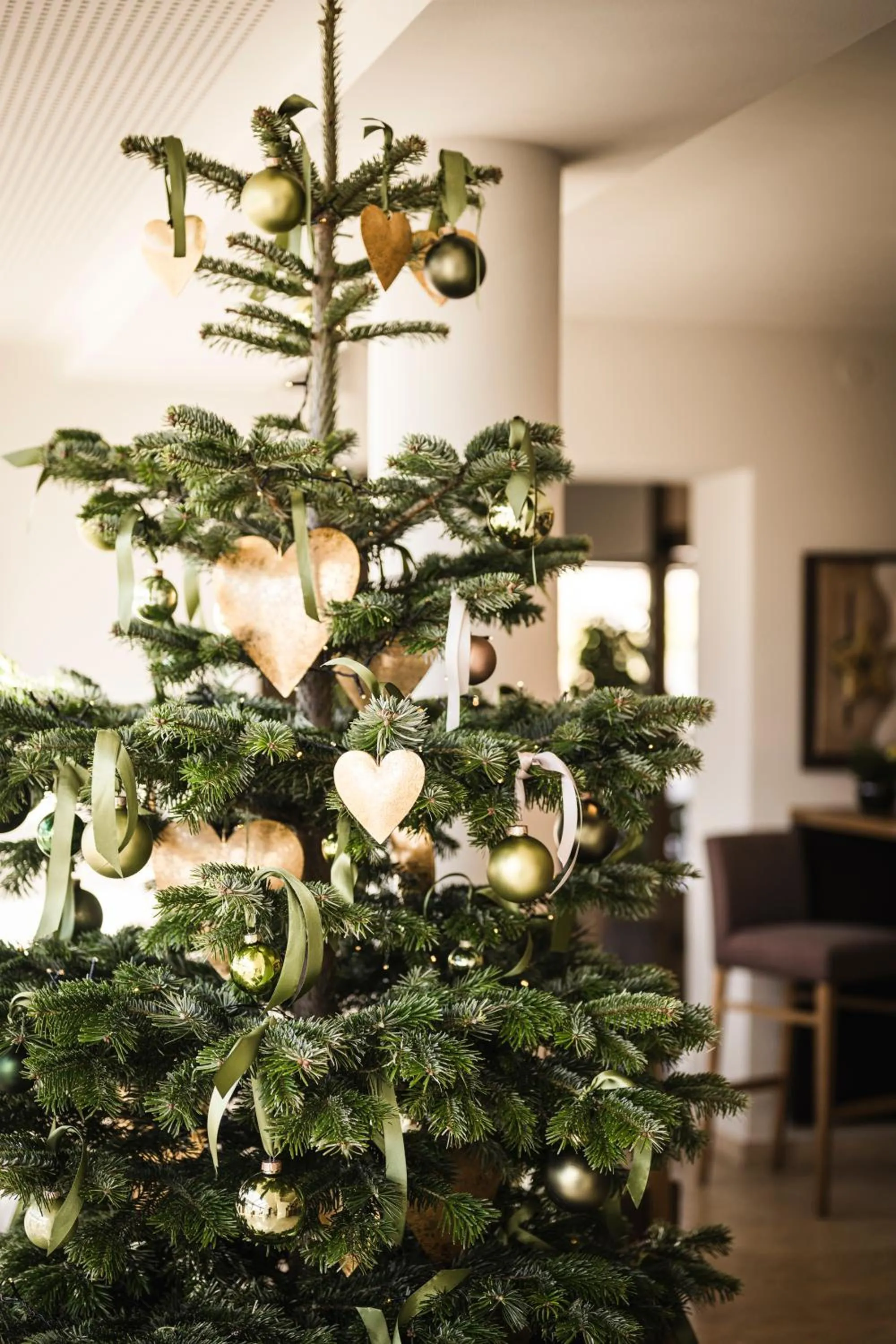 Winter in Hotel Mitterplatt (Schenna Resort)