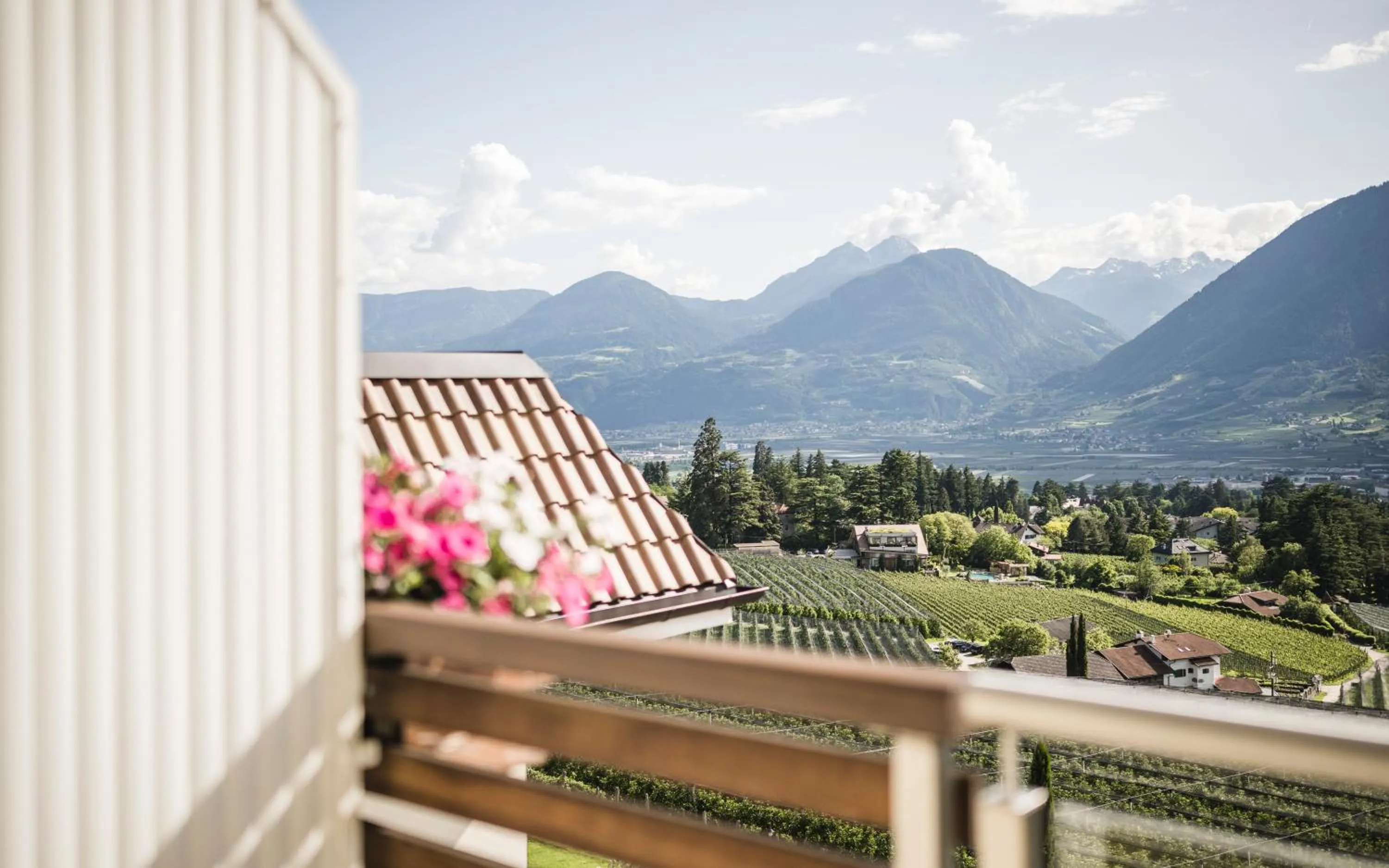 View (from property/room) in Hotel Mitterplatt (Schenna Resort)