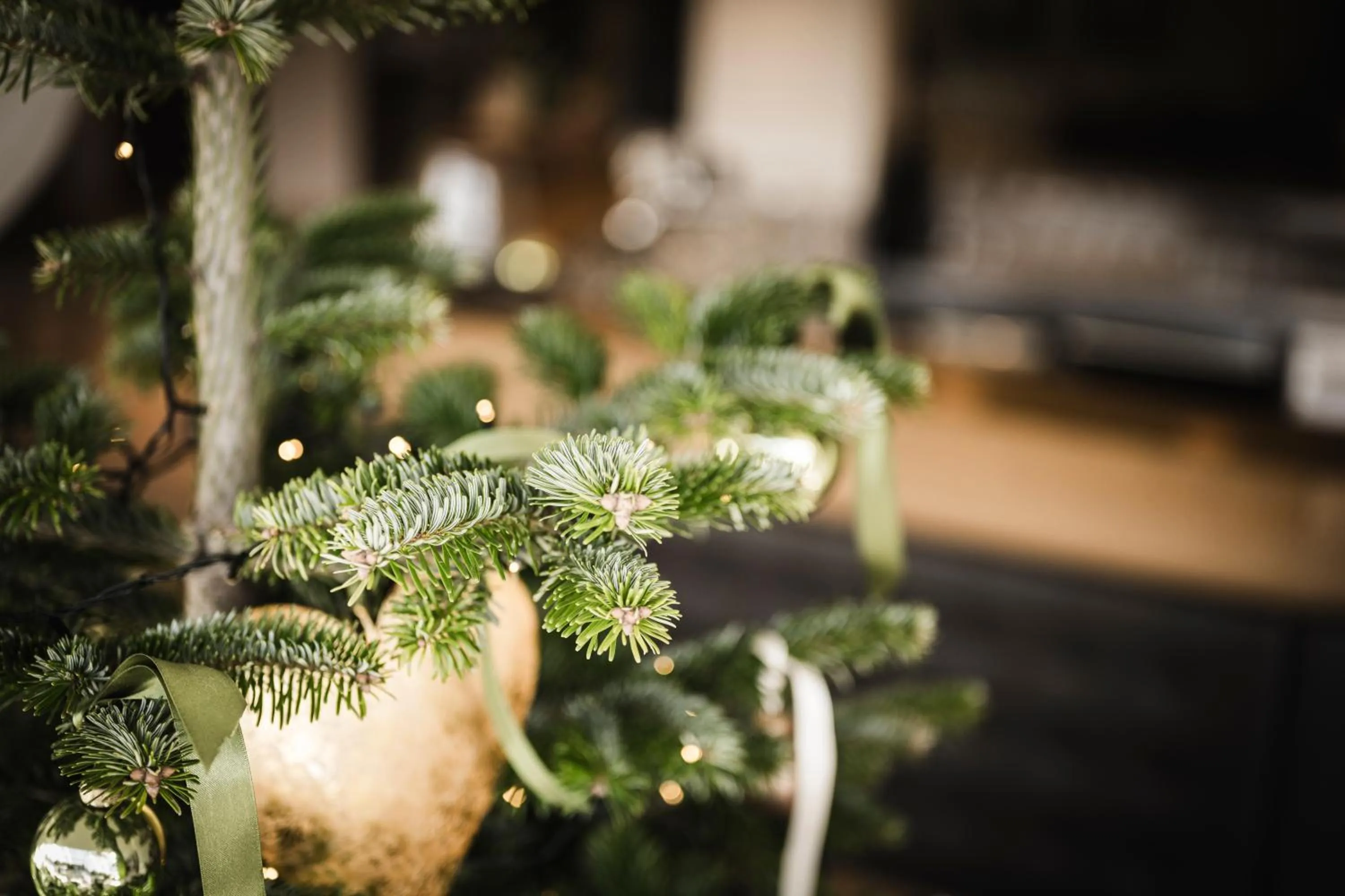 Winter in Hotel Mitterplatt (Schenna Resort)