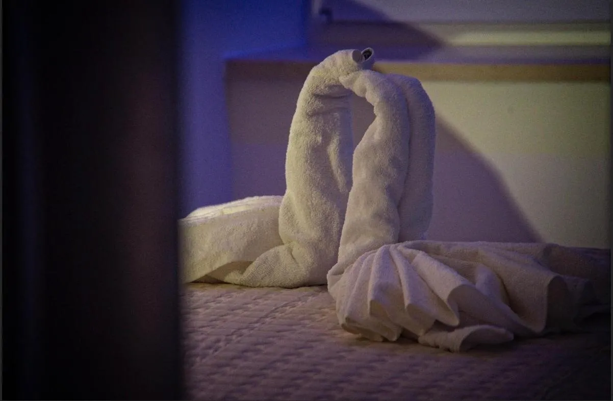 Villa Radić