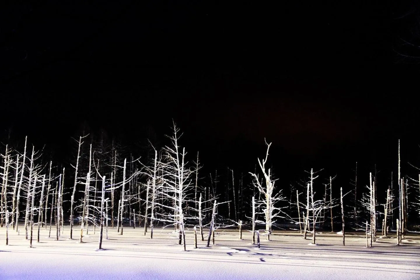 Off site in Stay In Biei