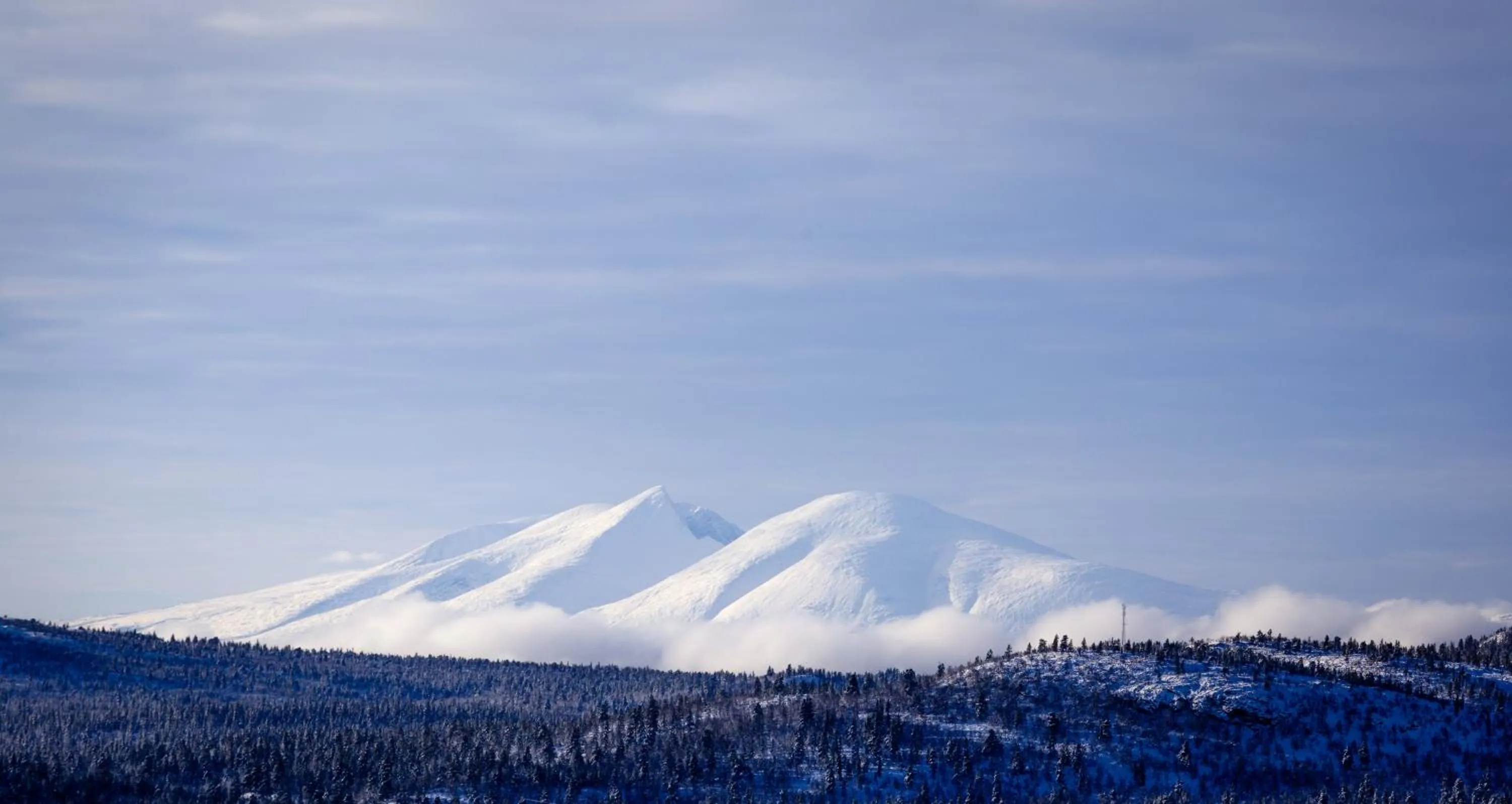 Natural landscape in Lövåsgårdens Fjällhotell