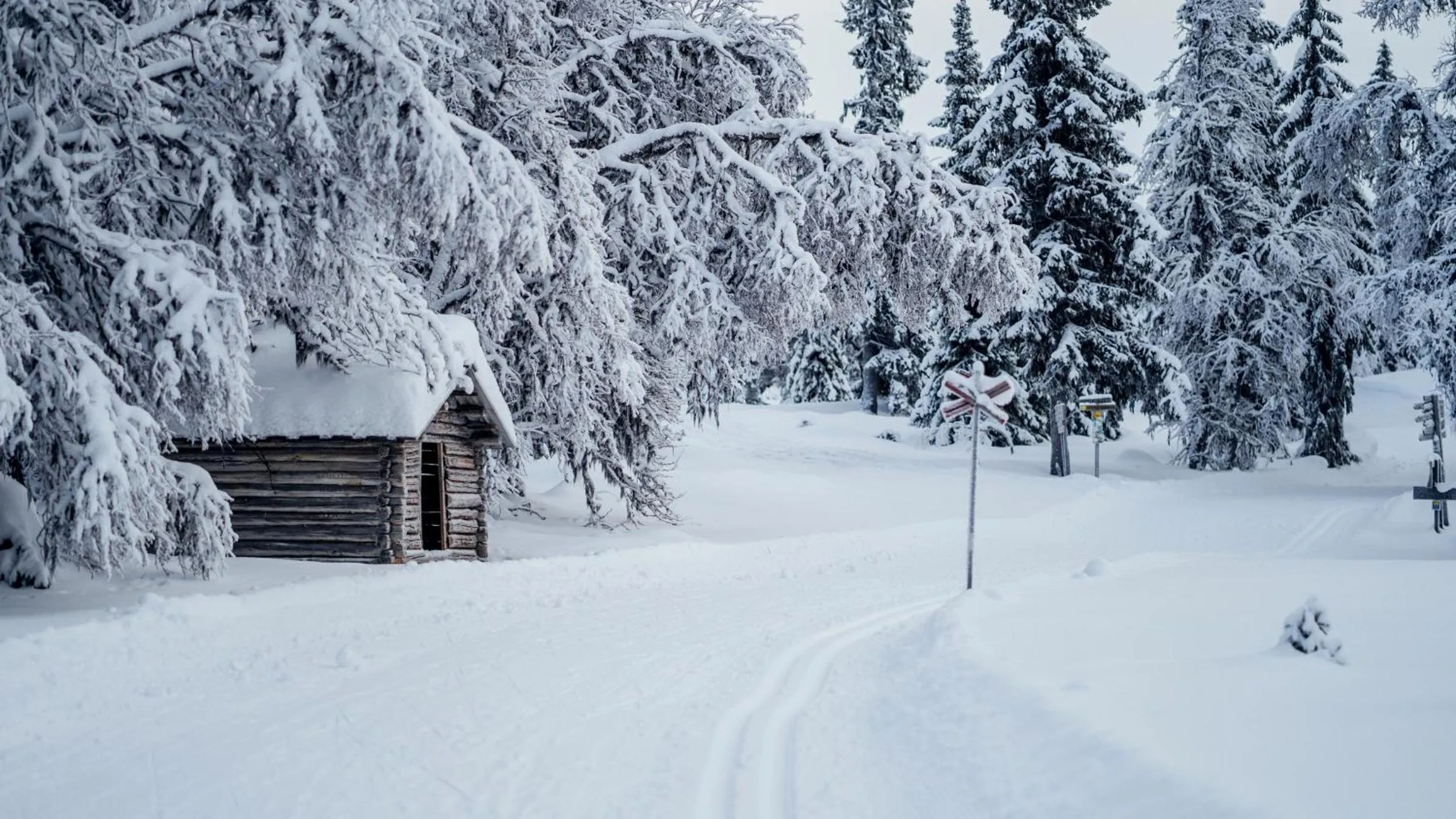 Natural landscape in Lövåsgårdens Fjällhotell