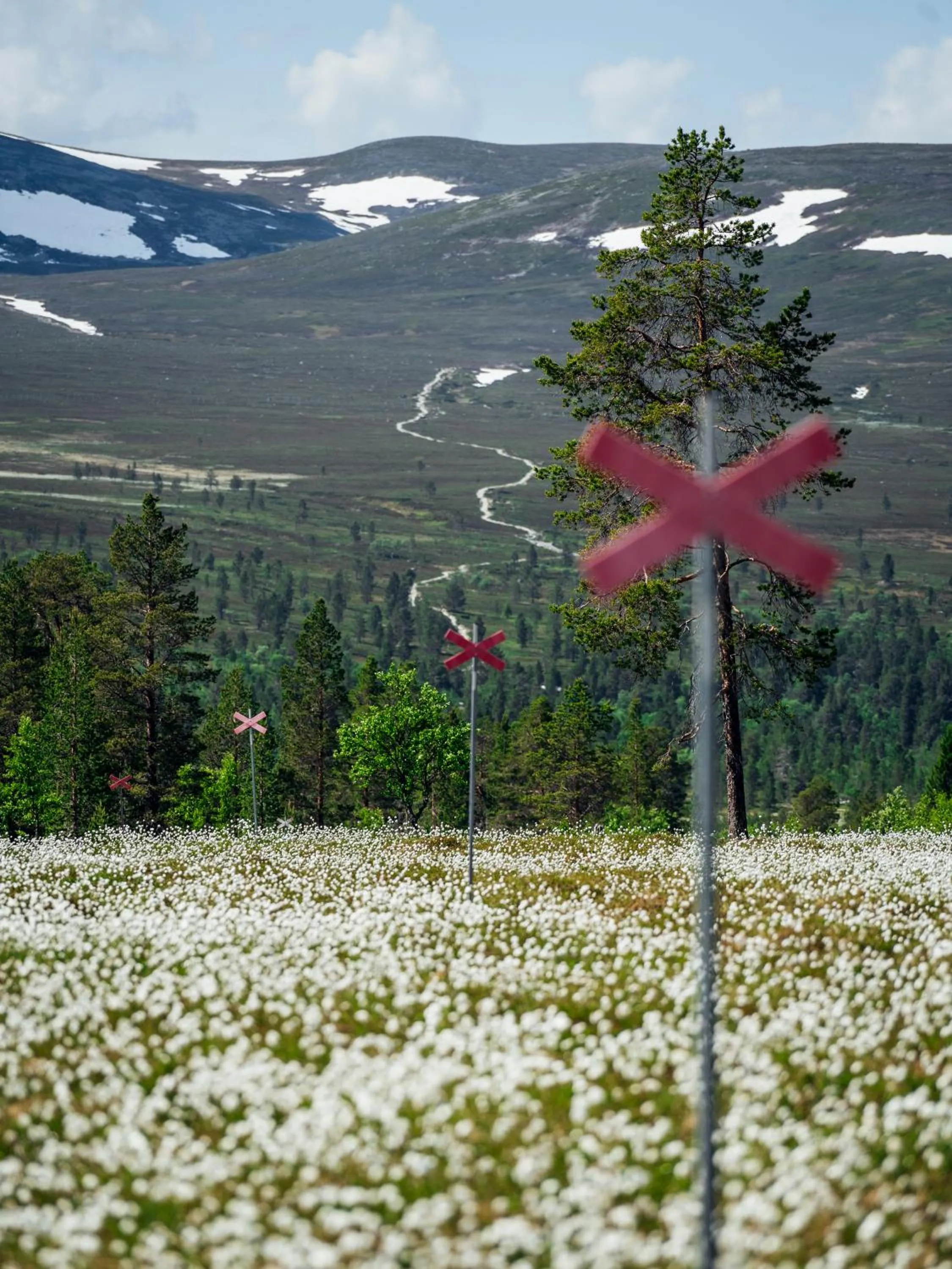 Natural landscape in Lövåsgårdens Fjällhotell