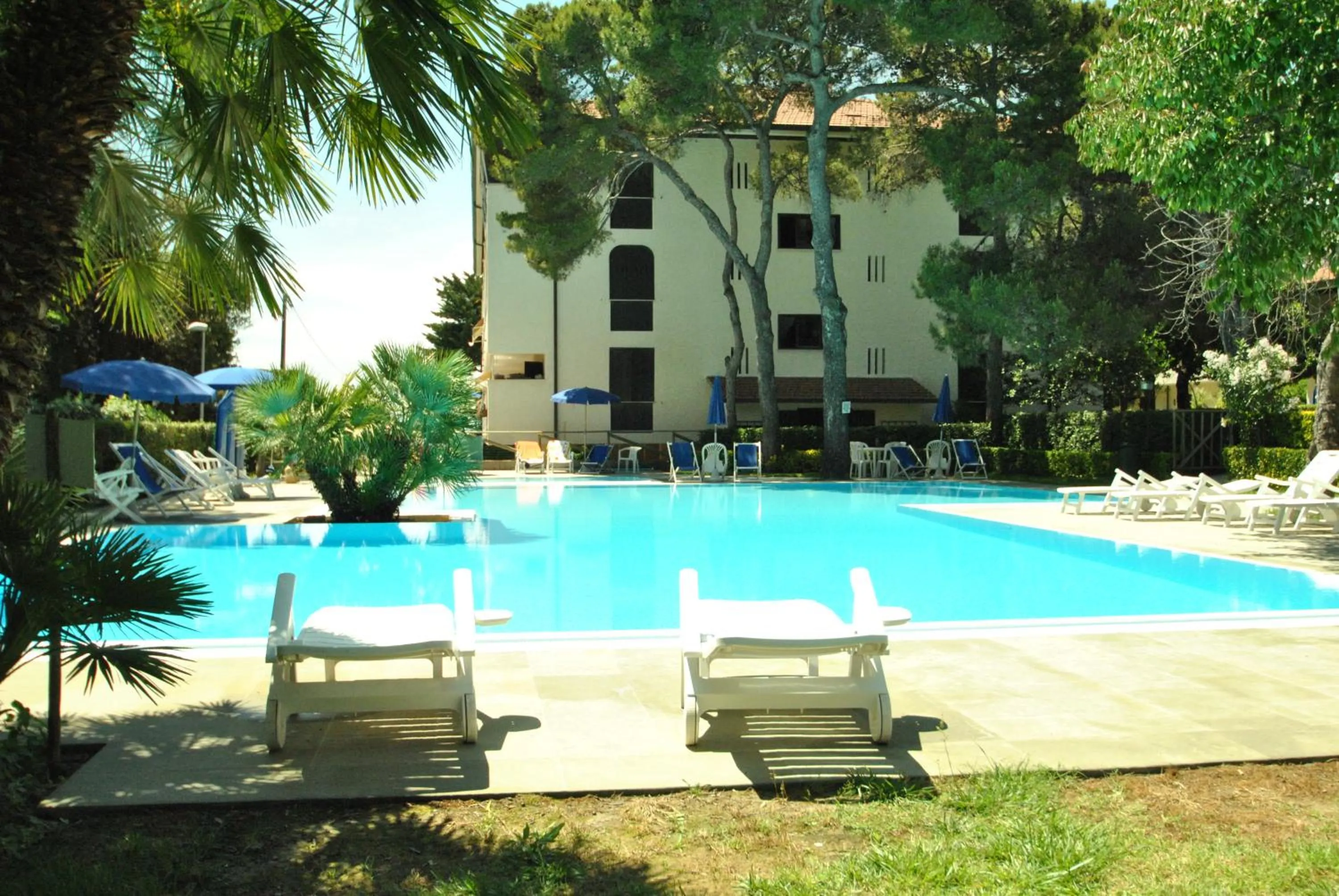 Swimming pool in Fattoria Nel Parco