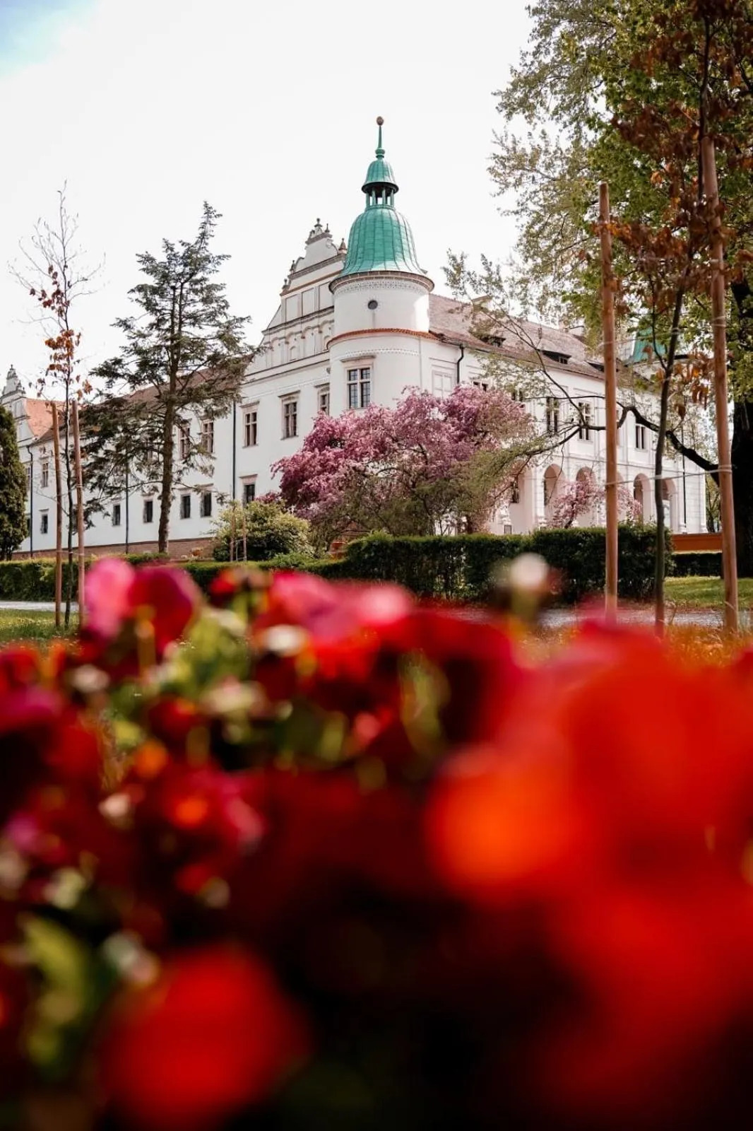 Spring in Zamek w Baranowie Sandomierskim