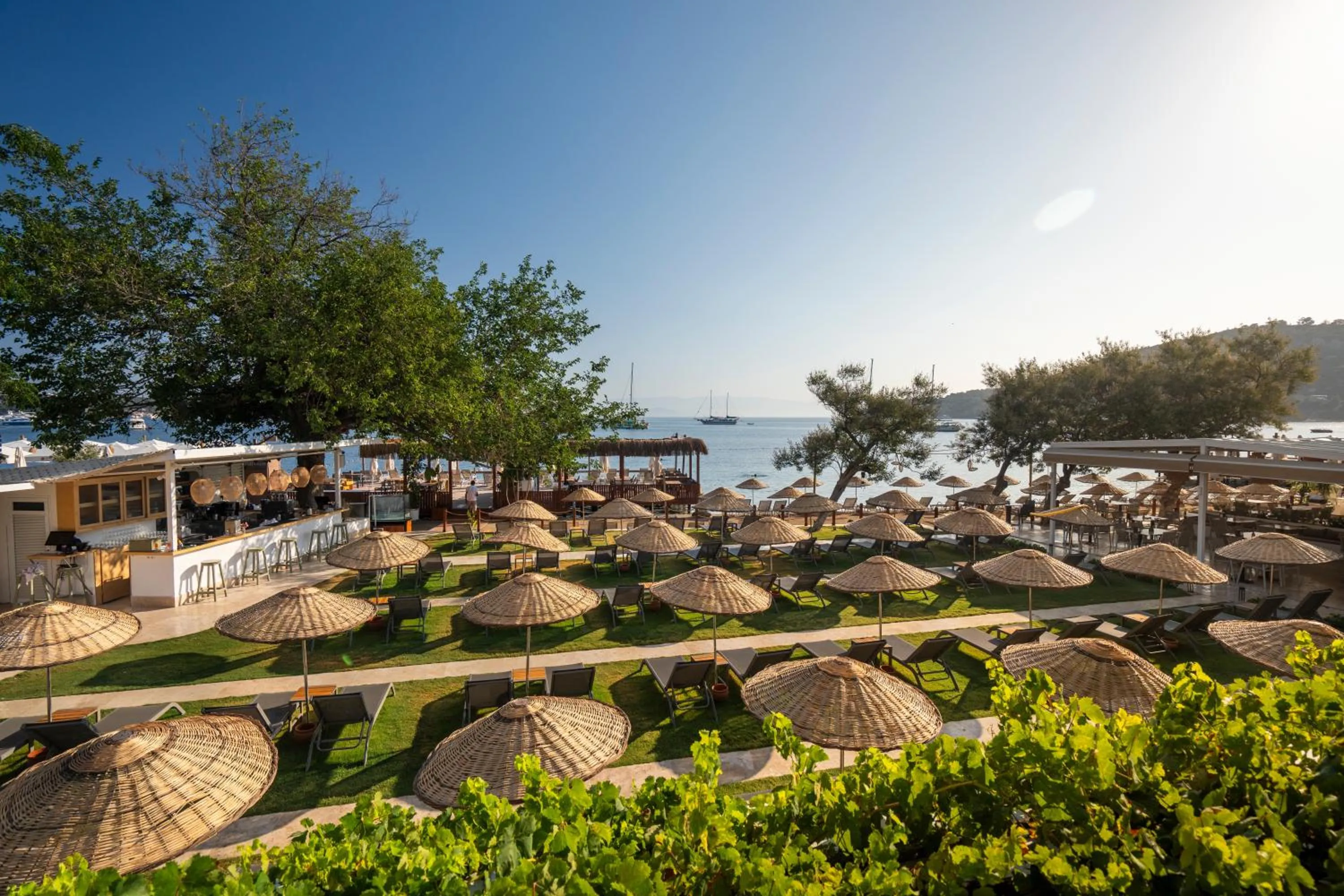 Beach in Daphnis Hotel