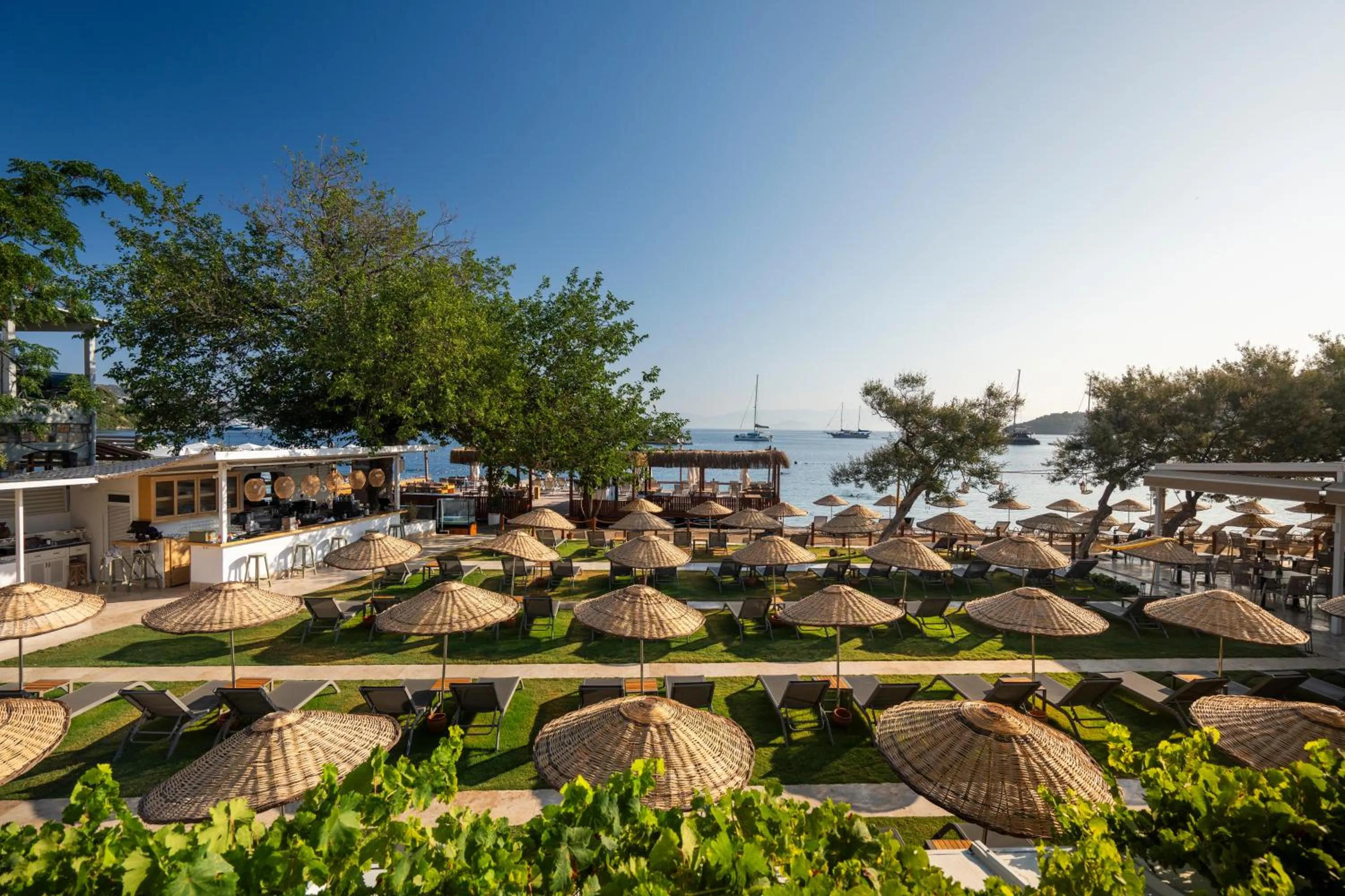 Sea view in Daphnis Hotel