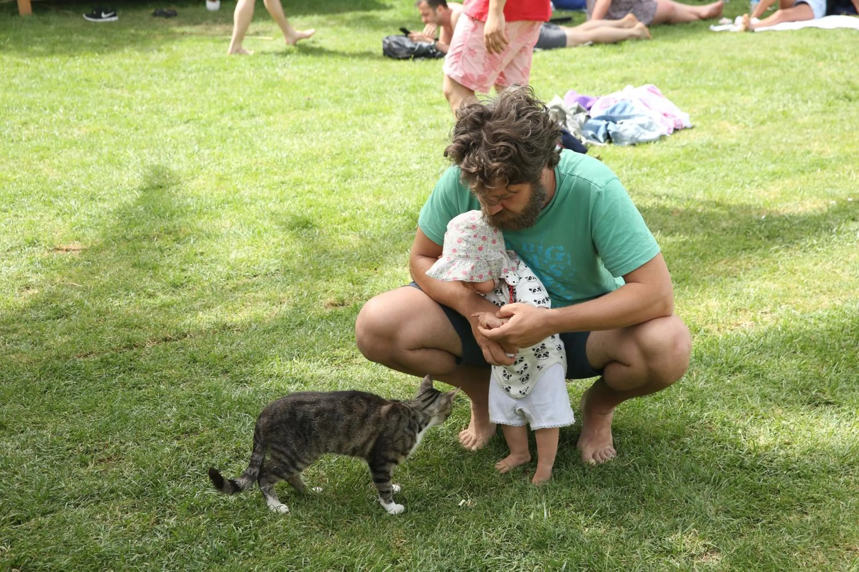 Pets in Daphnis Hotel