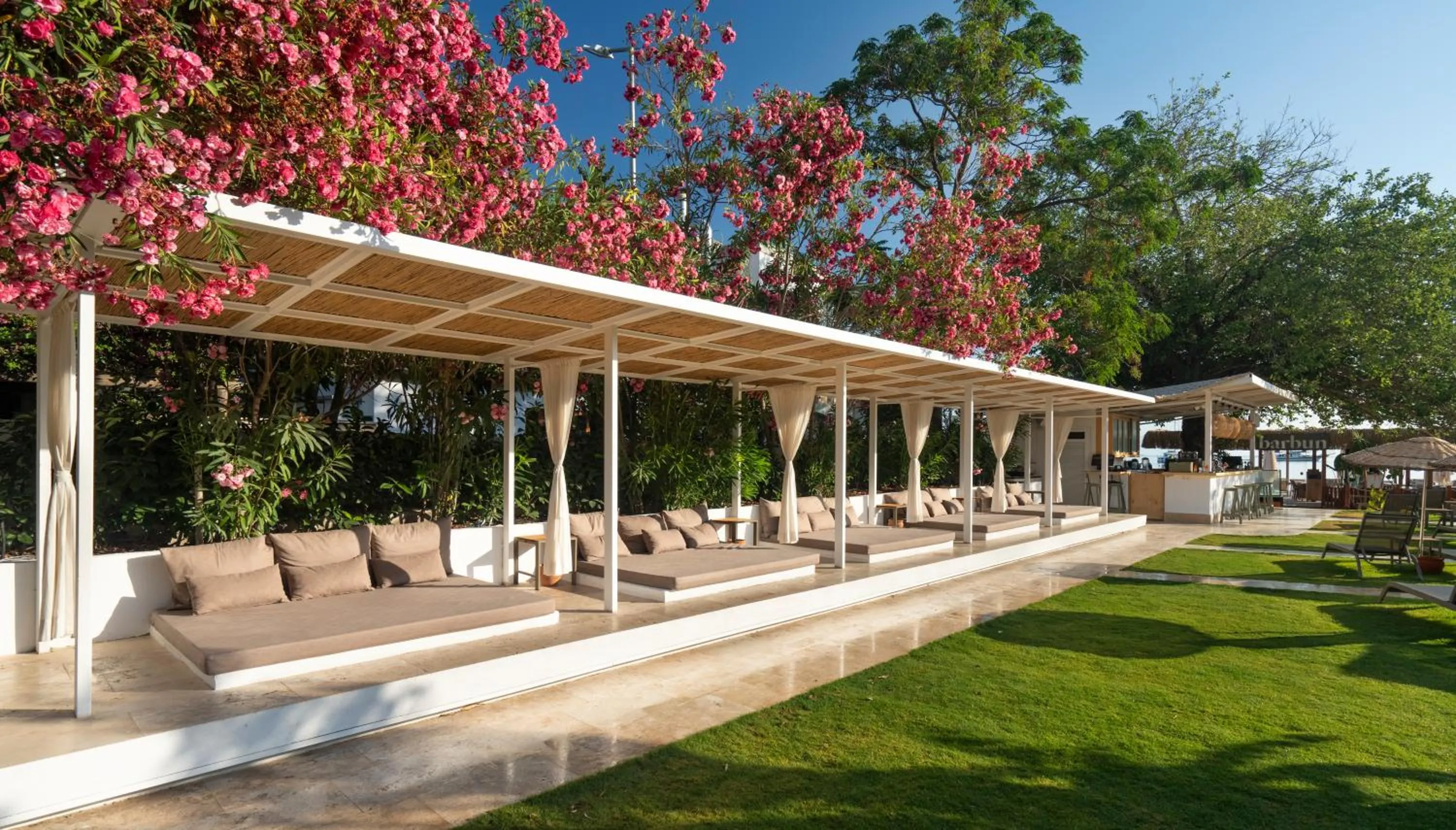 Natural landscape in Daphnis Hotel