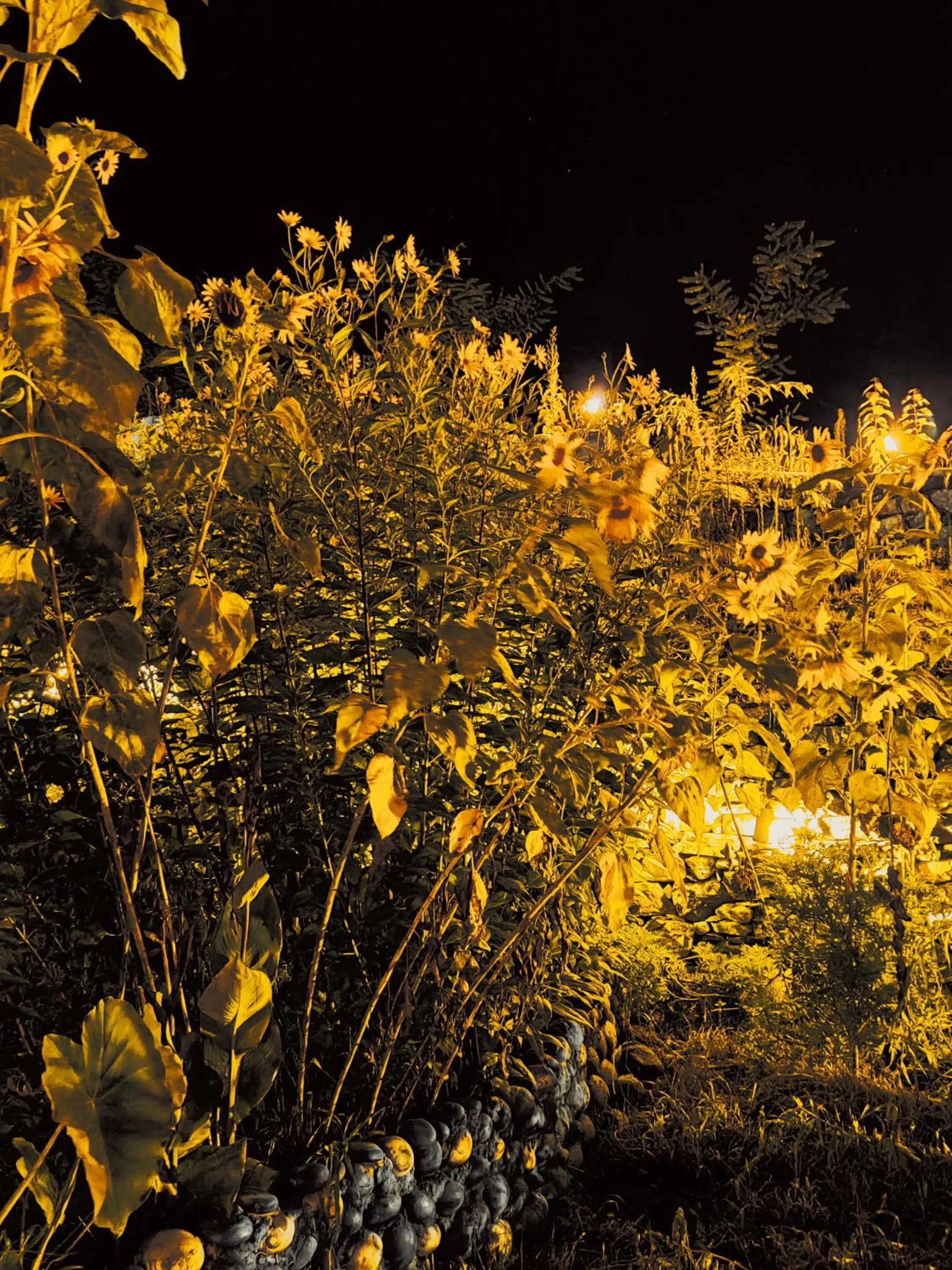 Night in Flipsyde Retreat