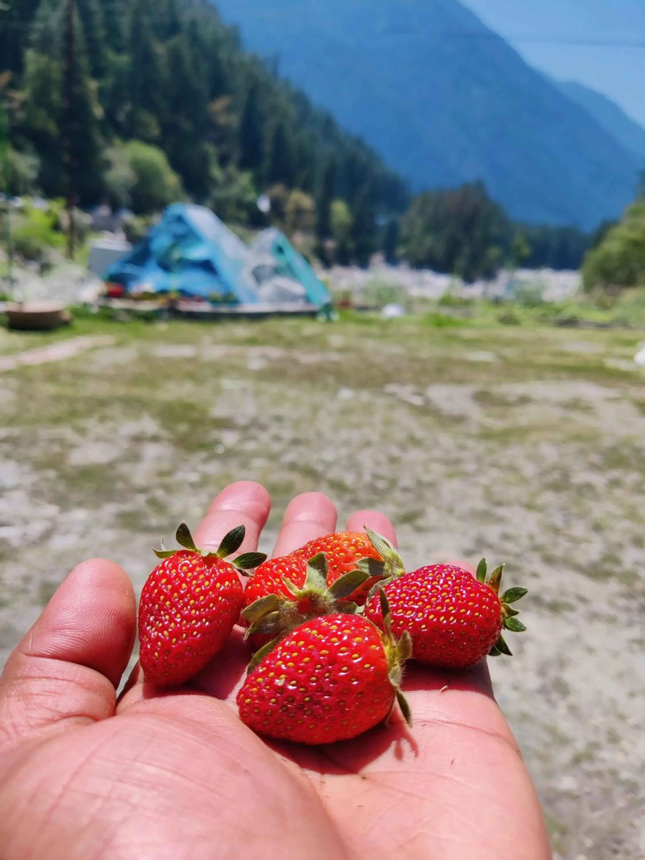 Mountain view in Flipsyde Retreat