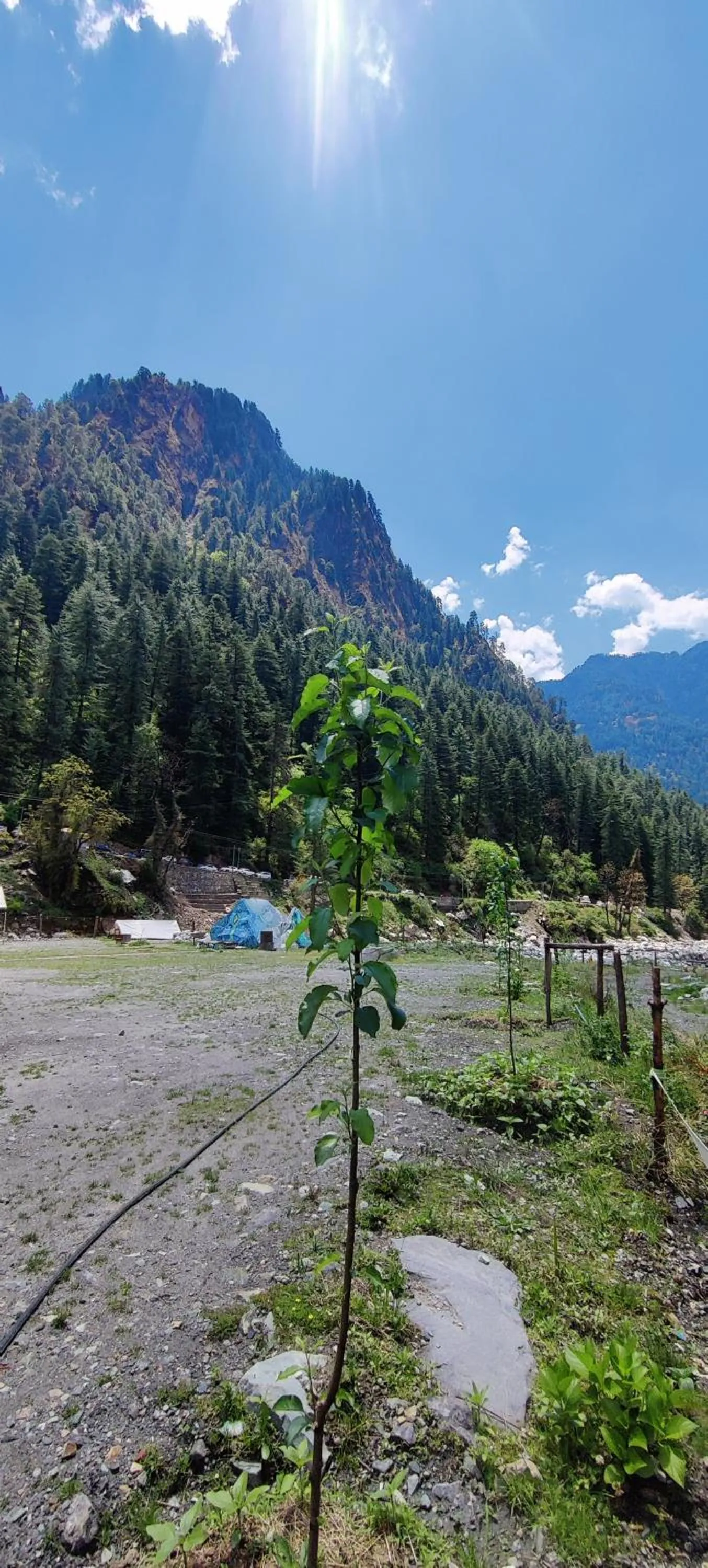 Mountain view in Flipsyde Retreat