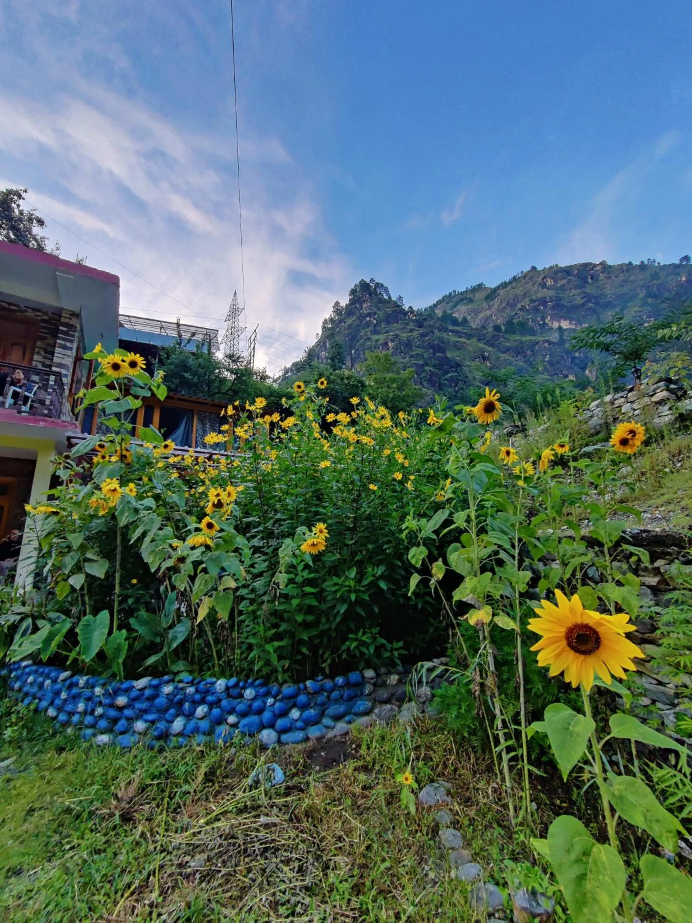 Natural landscape in Flipsyde Retreat