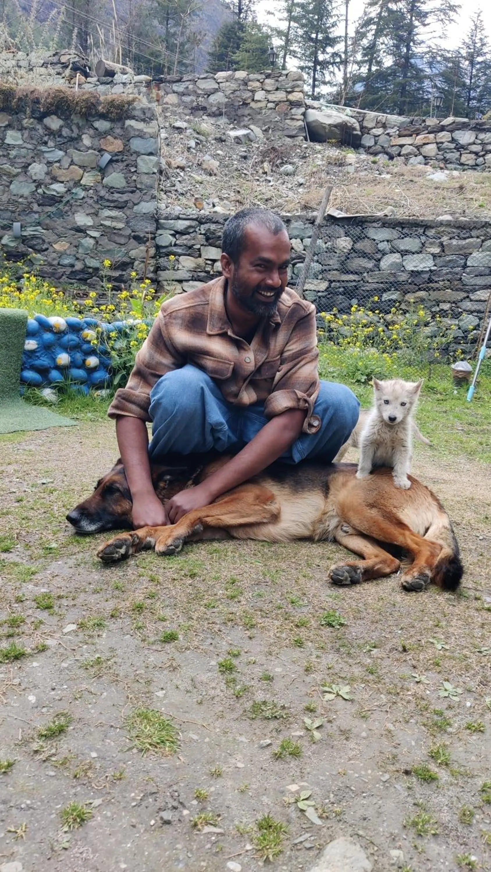Animals in Flipsyde Retreat