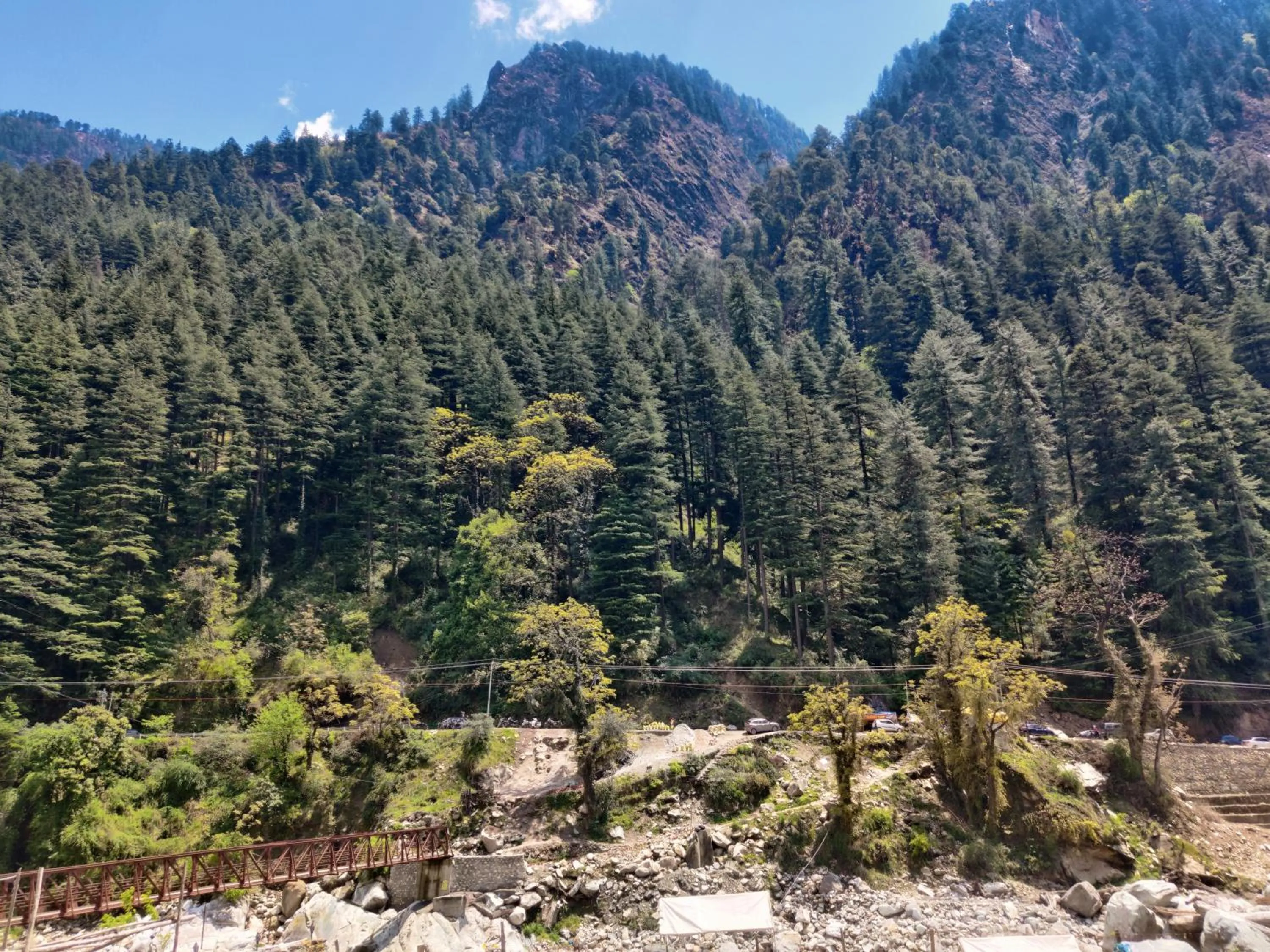 Natural landscape in Flipsyde Retreat
