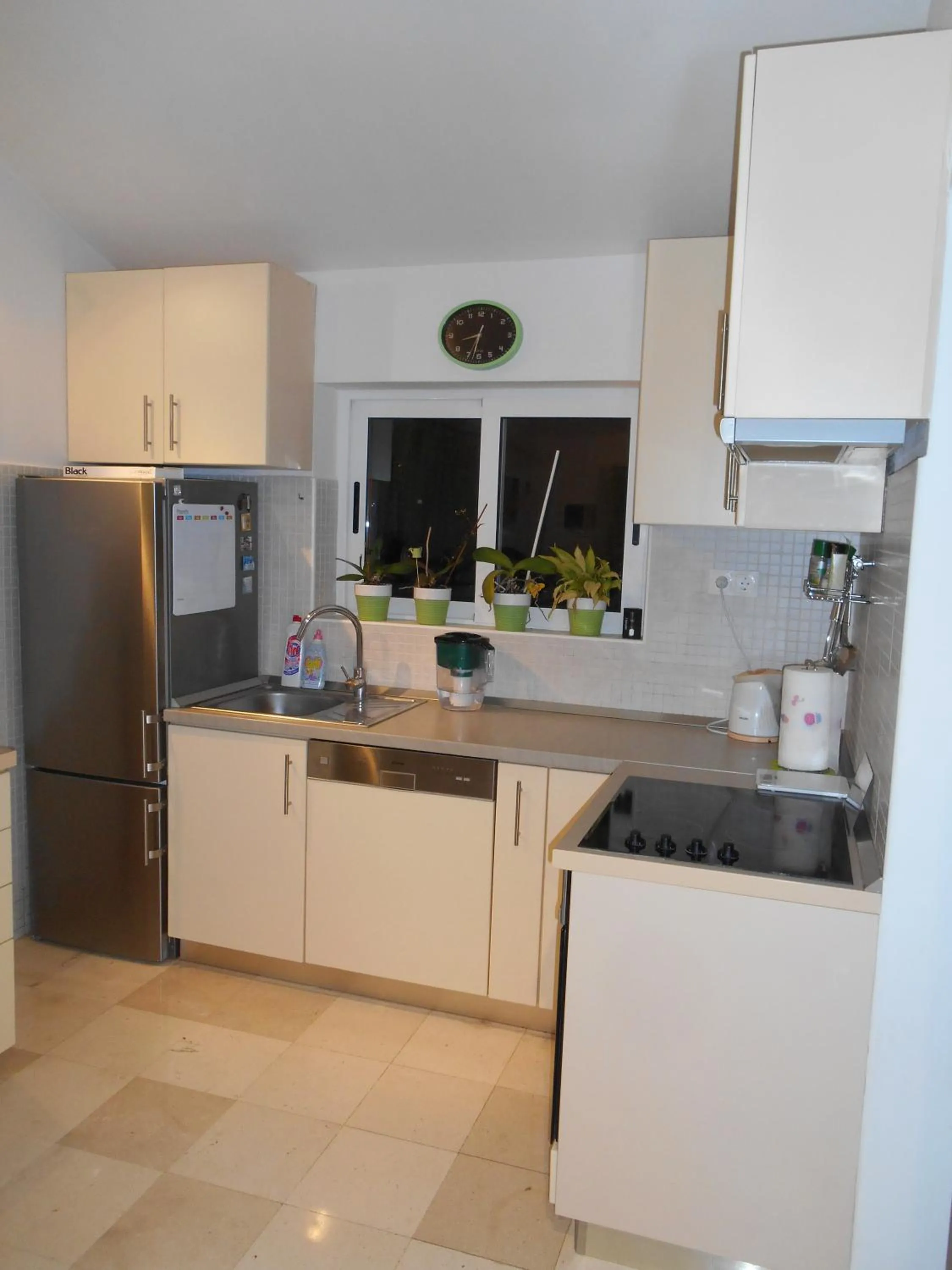 Kitchen or kitchenette in Pension Oaza