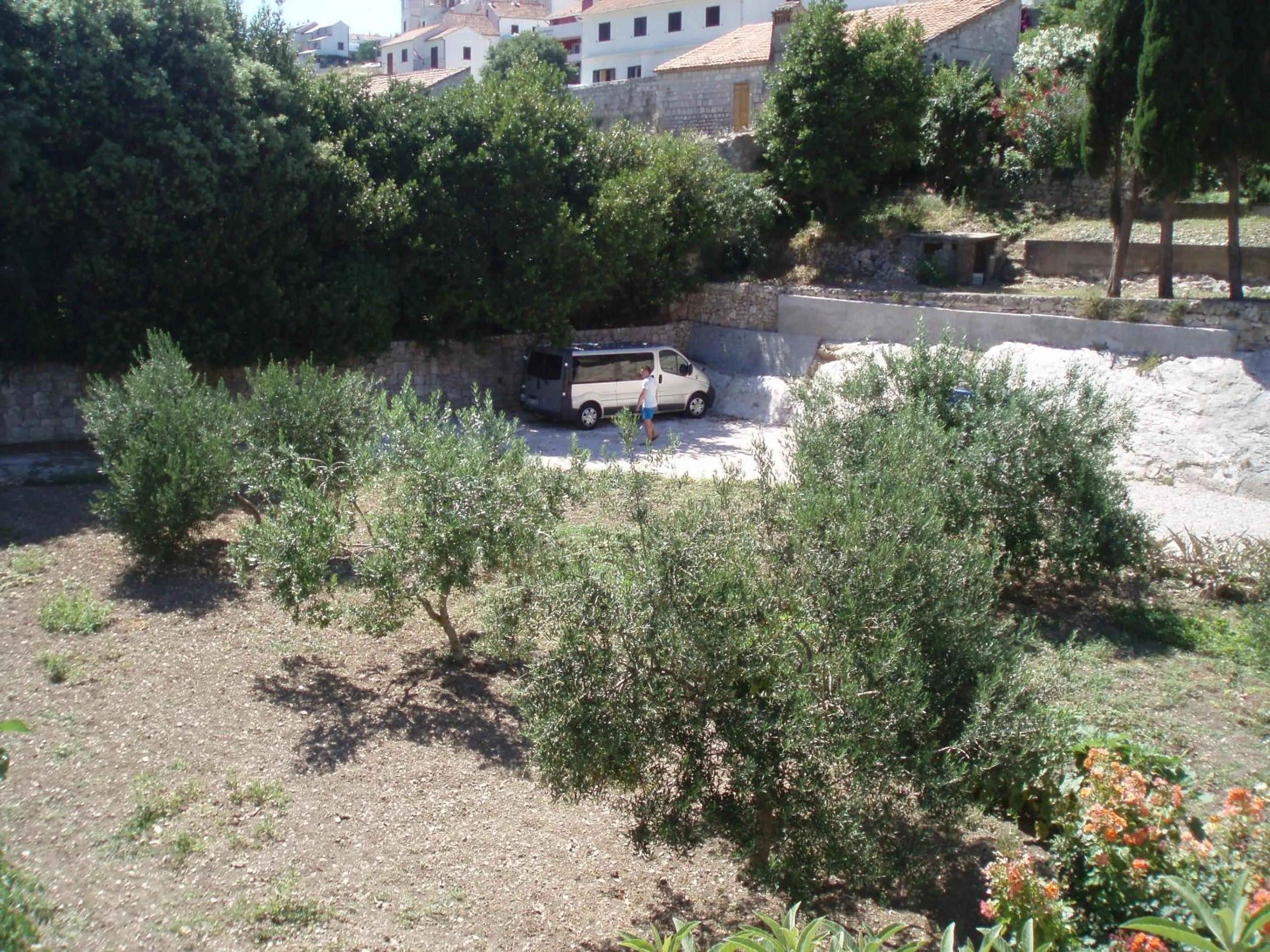 Day in Pension Oaza