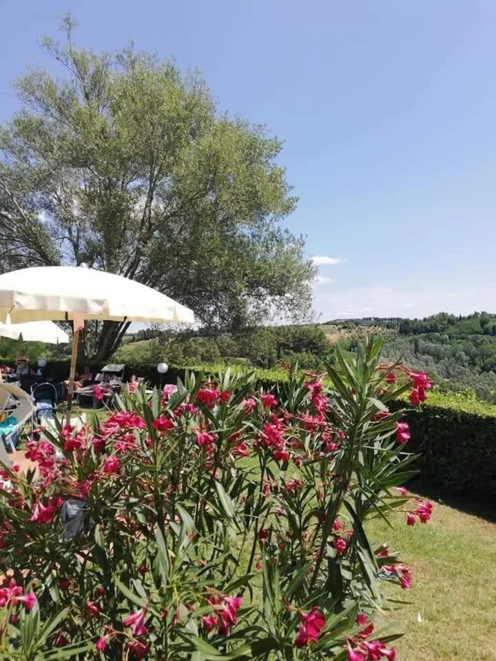 Garden in Agriturismo Marrucola