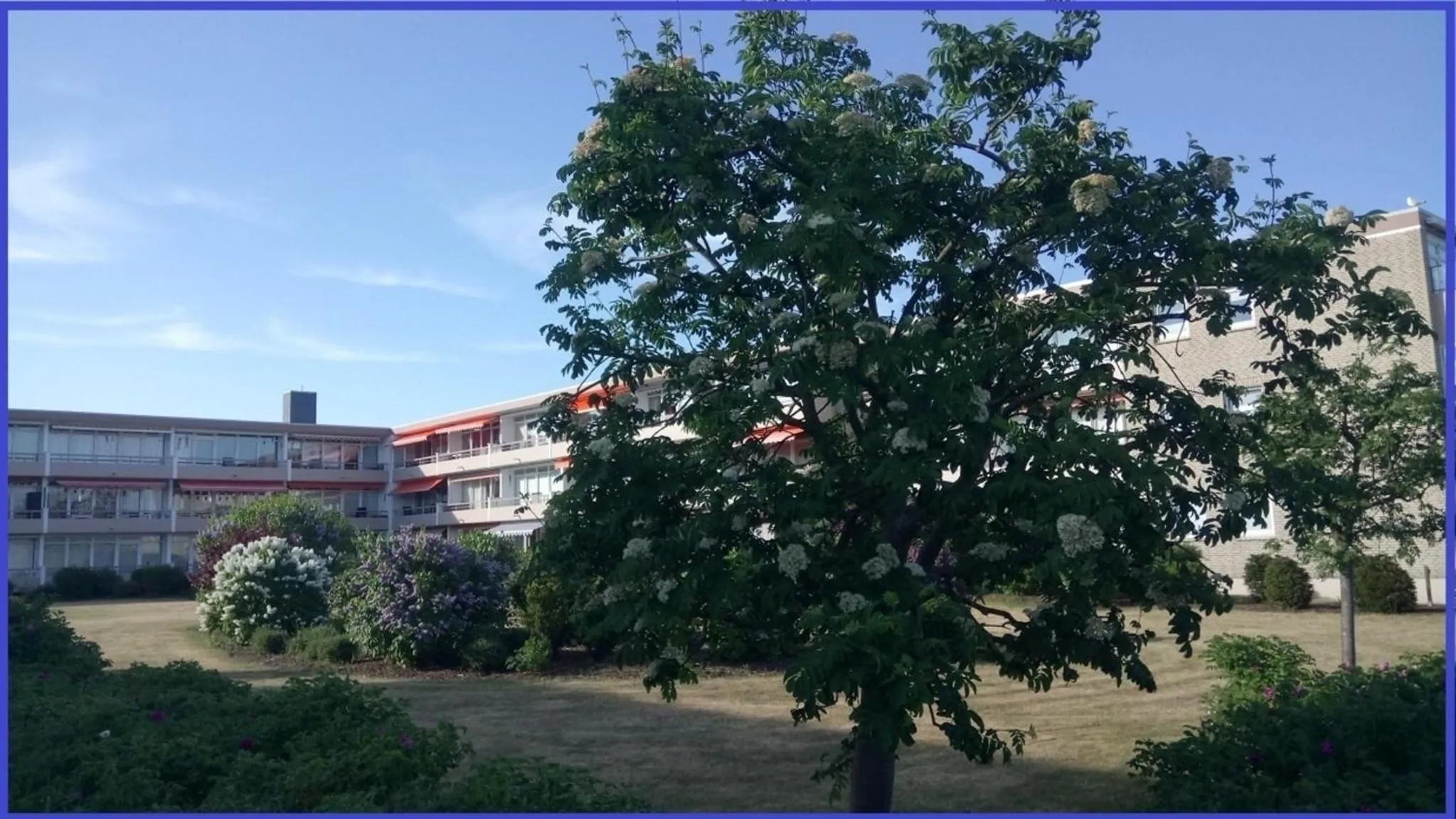 Ostsee Oase Grömitz - Haus Baltic - Whg 180 - inkl Saisonstrandkorb