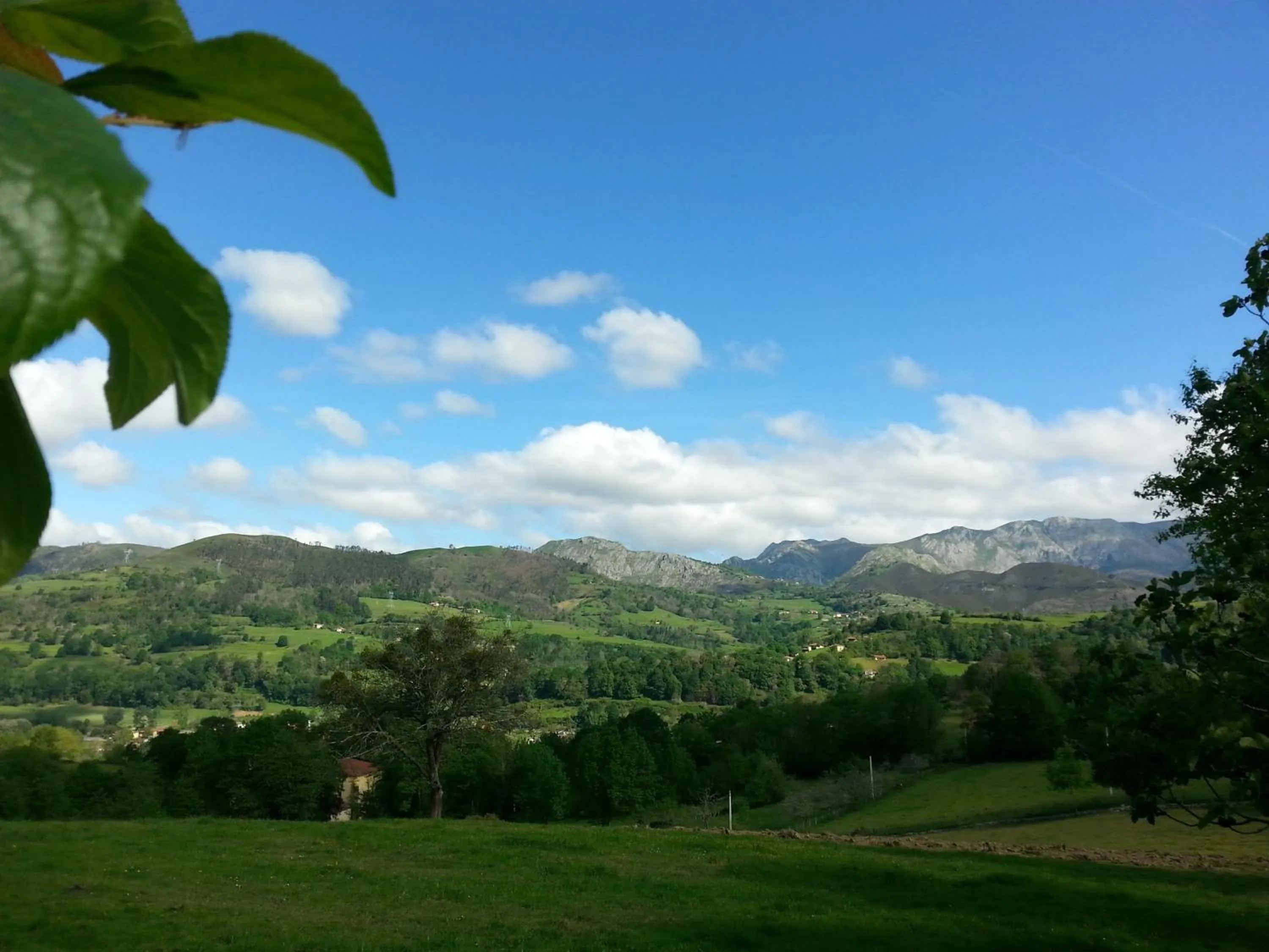 View (from property/room) in Hotel Rural El Espino