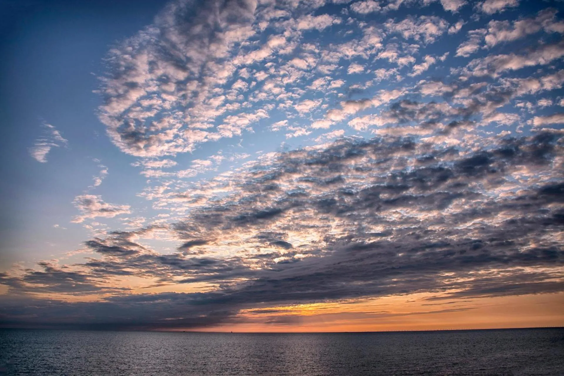 Natural landscape in Boulevard Hotel