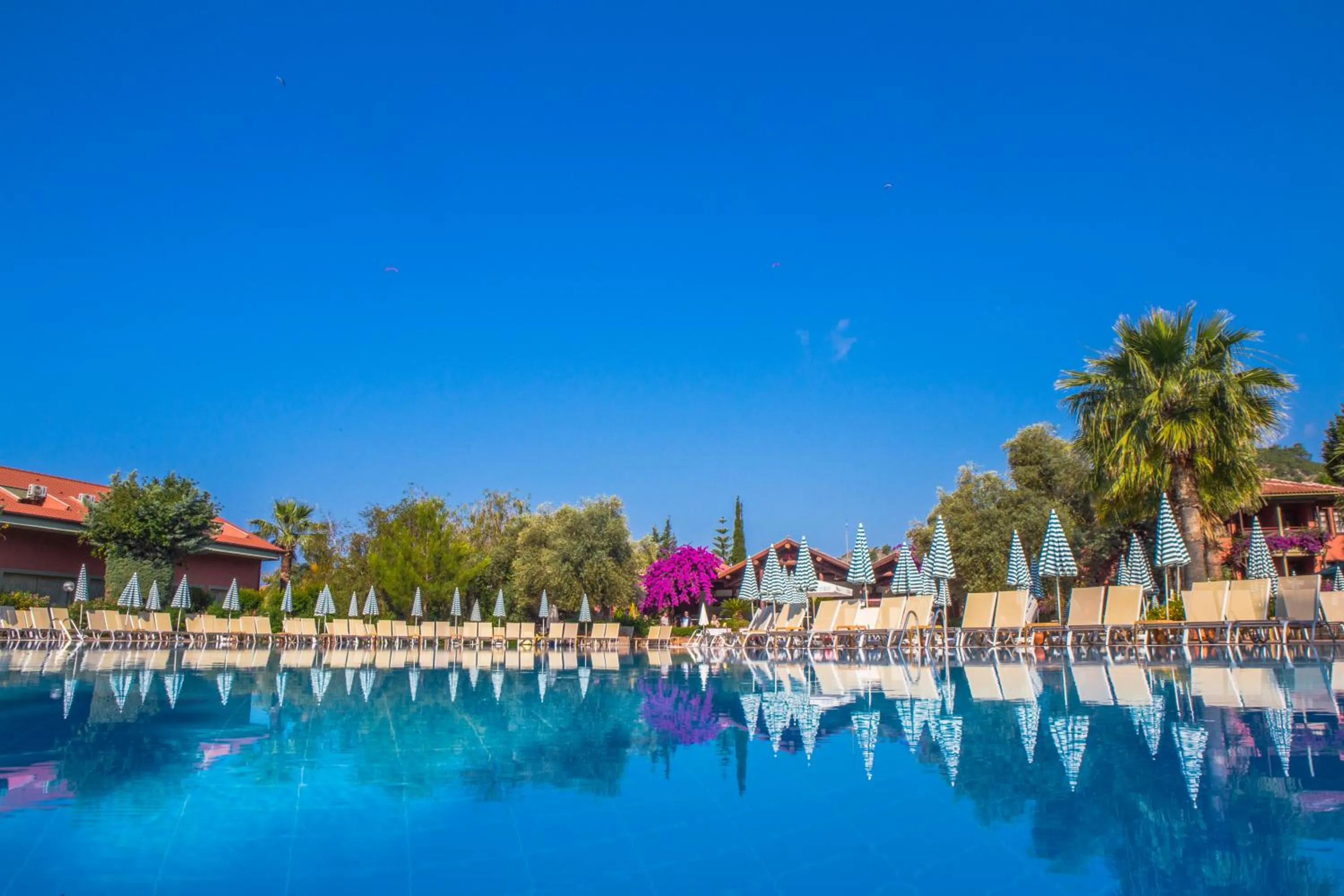 Decorative detail in Sundia By Liberty Suncity