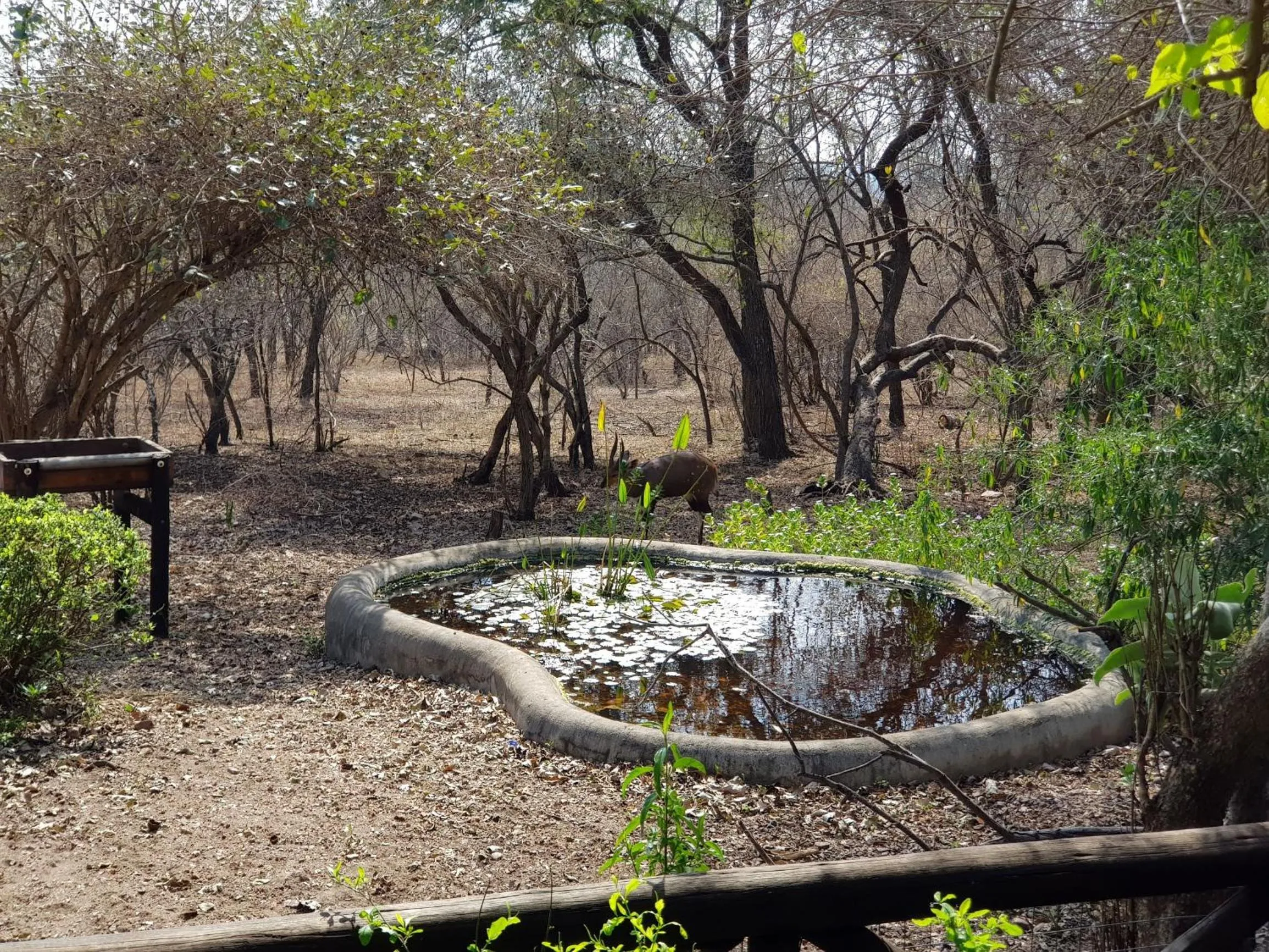 Property building in HomeBase Kruger