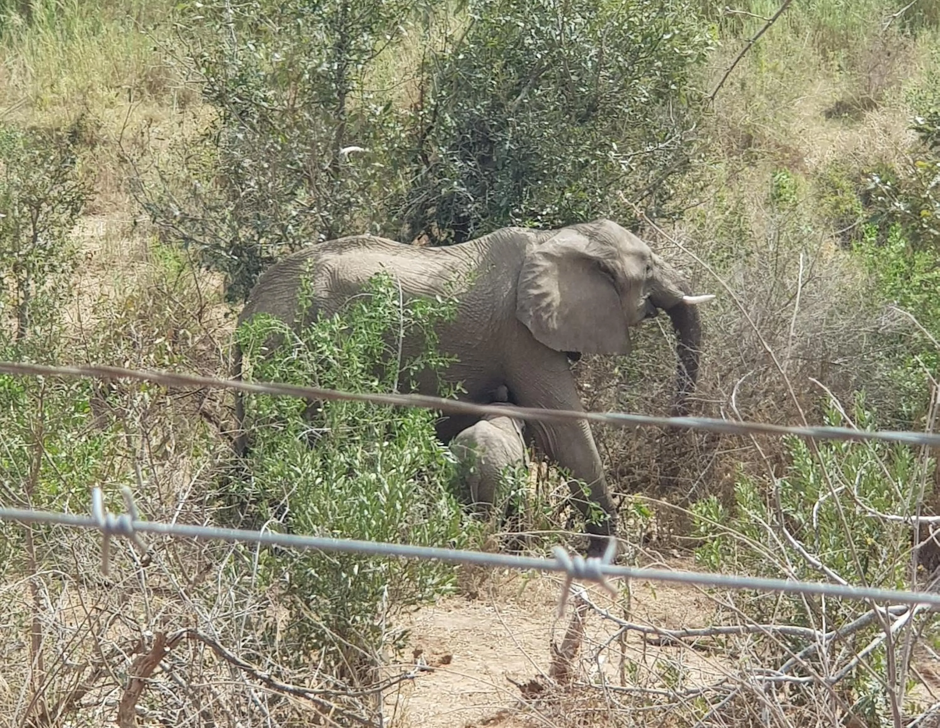 Nearby landmark in HomeBase Kruger