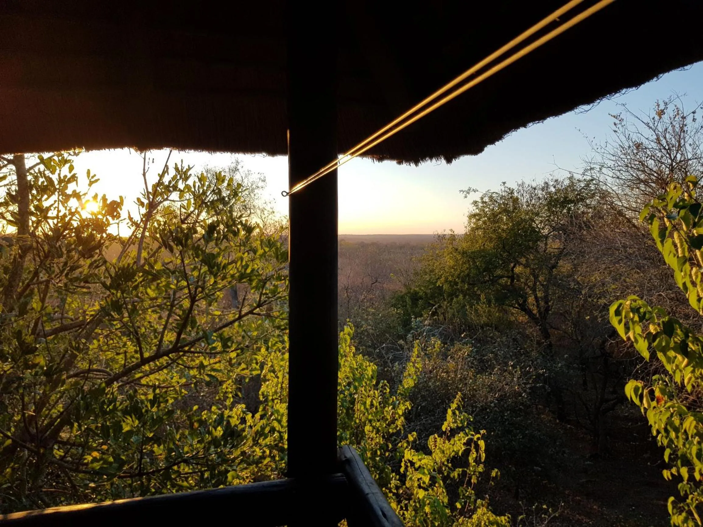 Neighbourhood in HomeBase Kruger