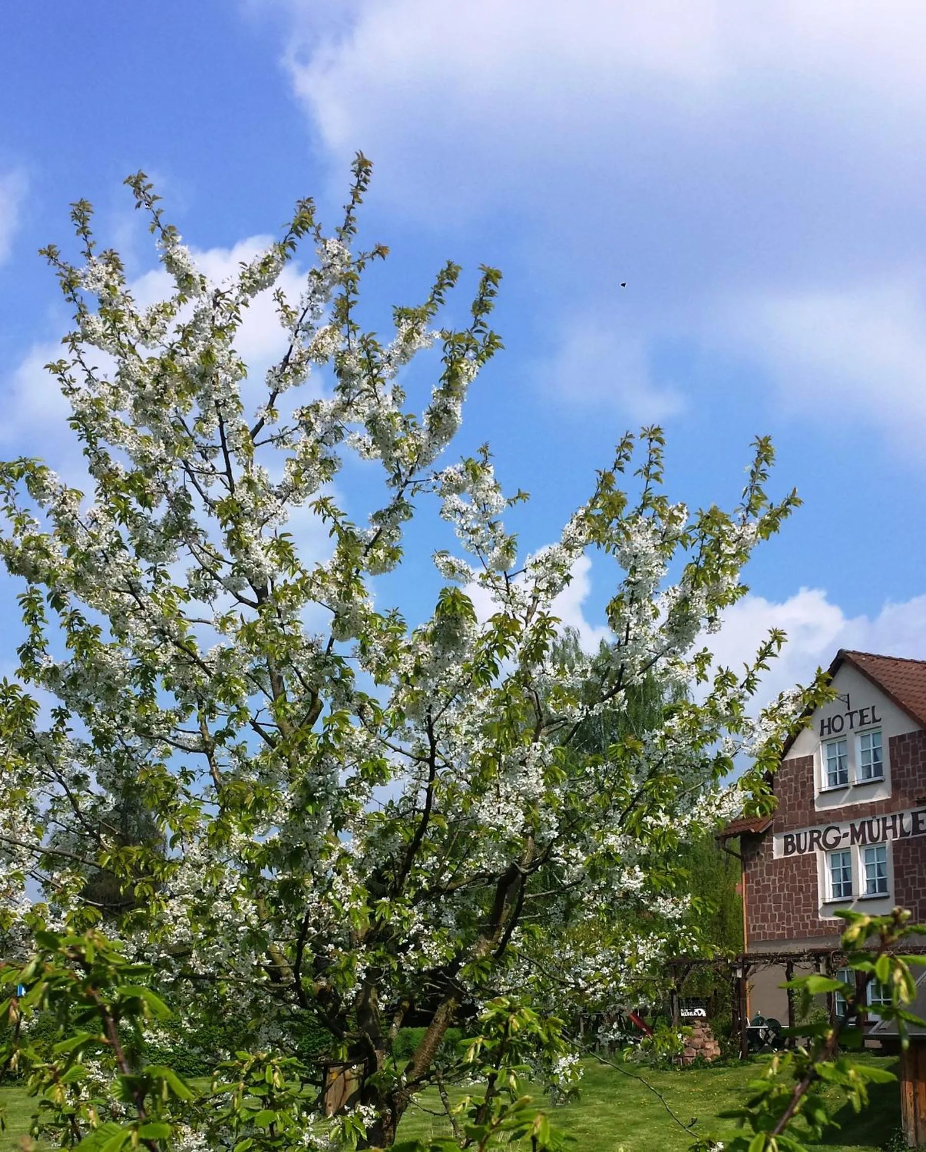 Property building in Hotel Burg-Mühle