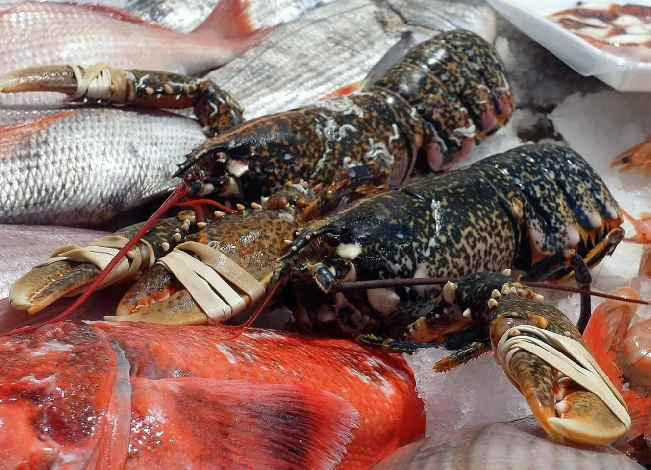 Food in Hotel Restaurante el Fornon