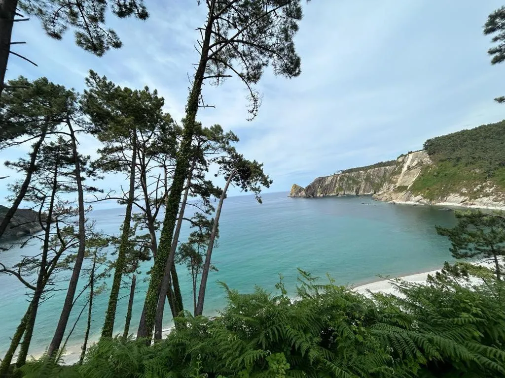 Hotel Restaurante el Fornon