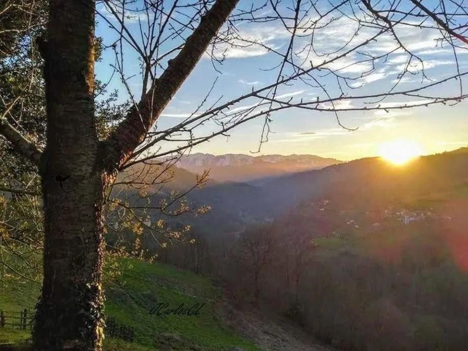 Natural landscape in Hotel Restaurante el Fornon