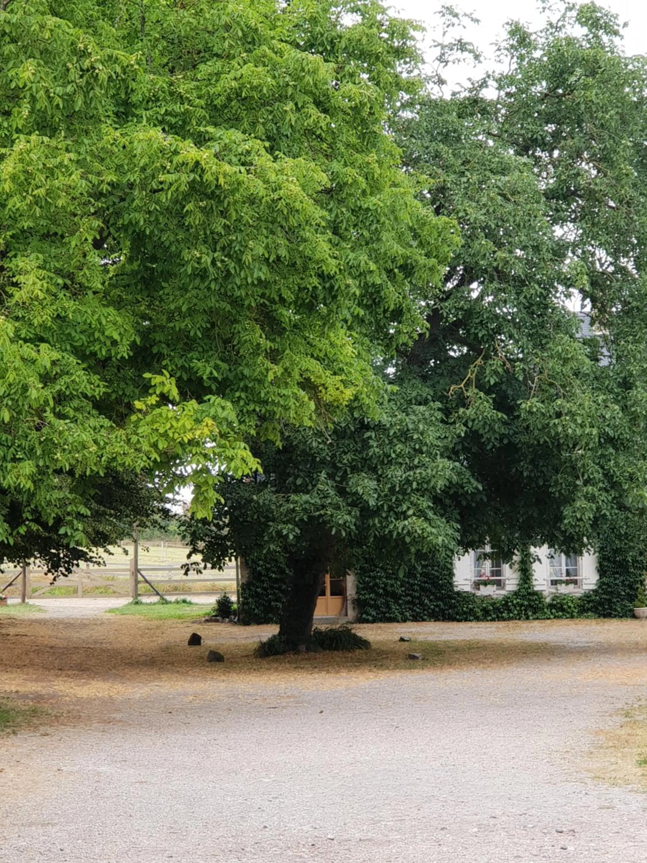 Property building in La Tilia