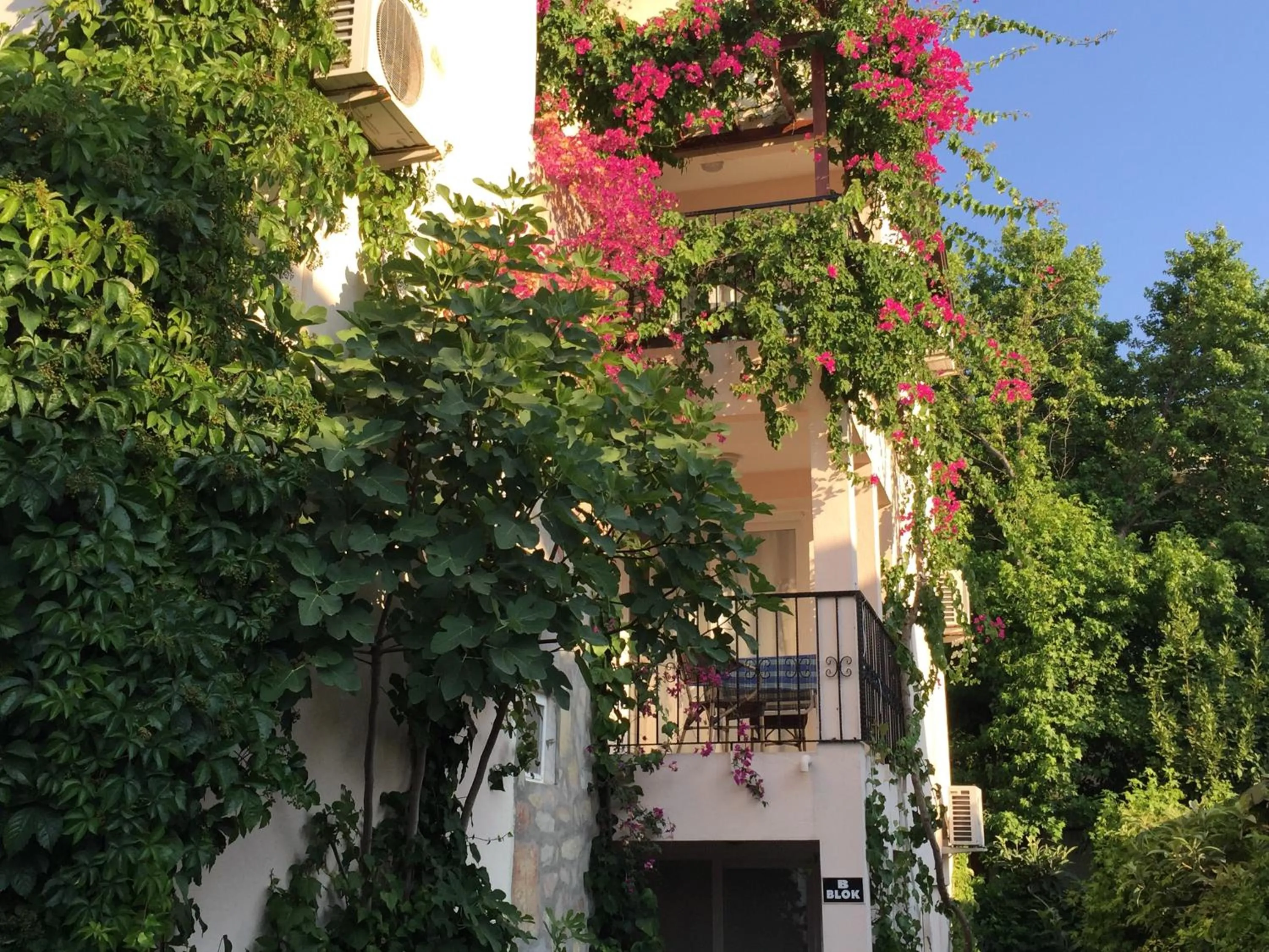 Garden view in Ten Apart Hotel