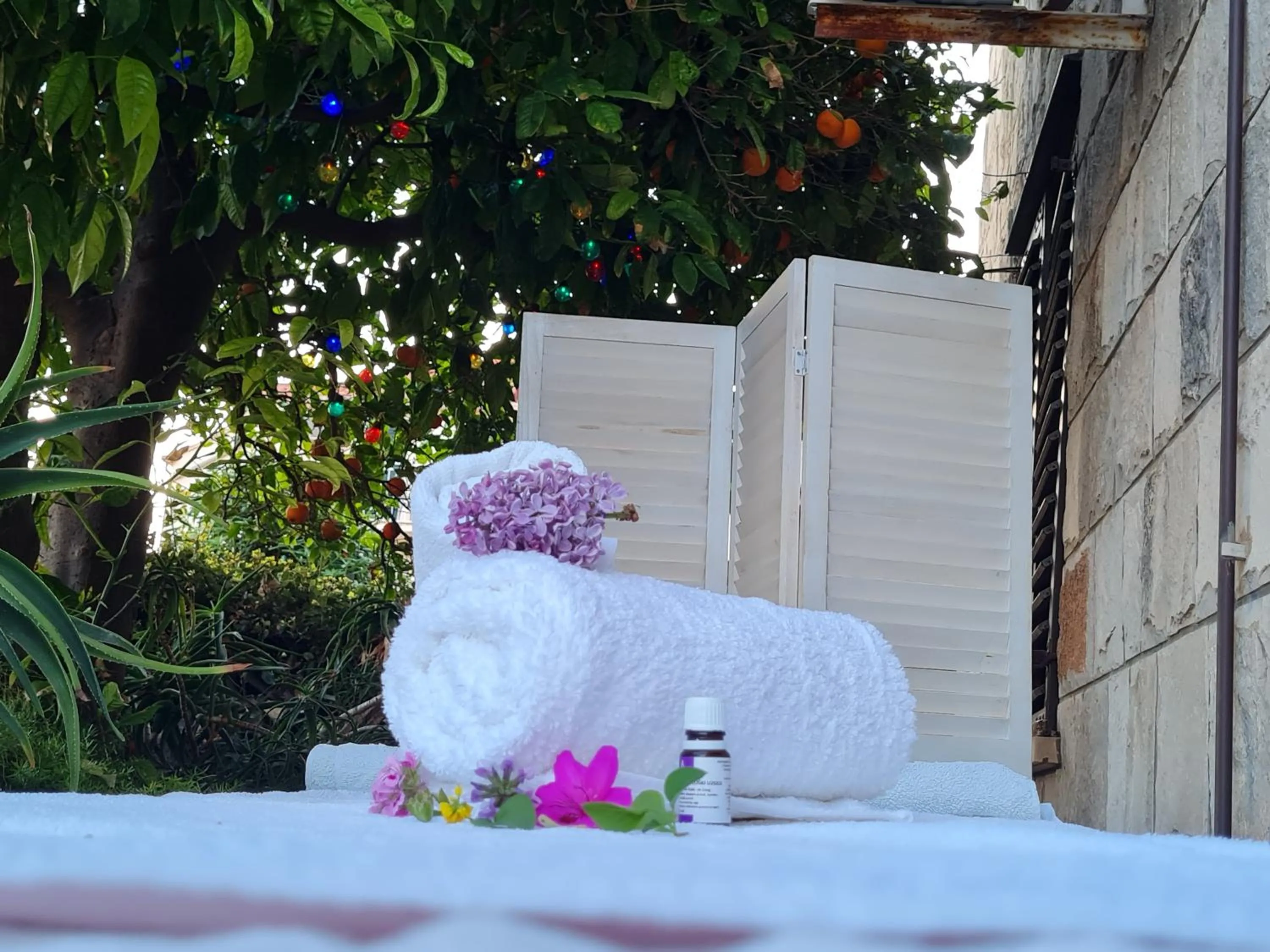 Massage in Apartment Bruana 5