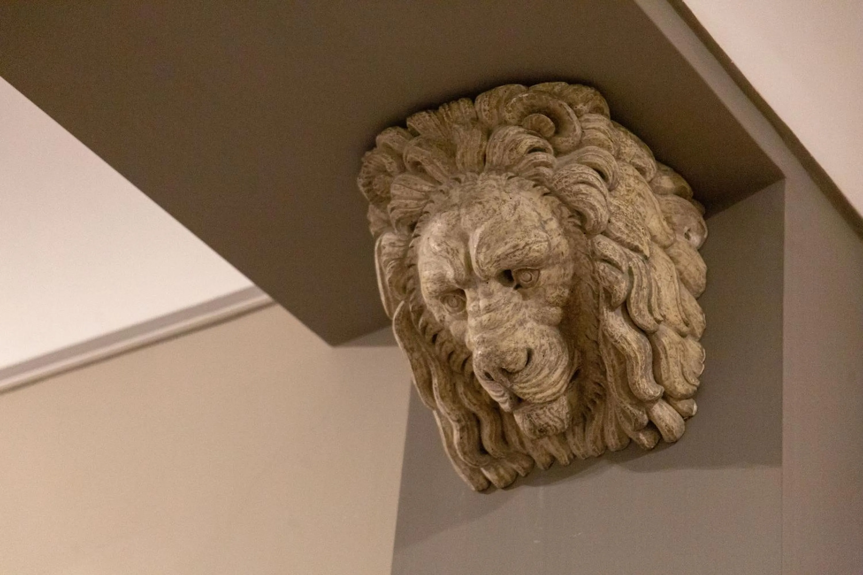 Leone Camere D'autore - CHIAIA