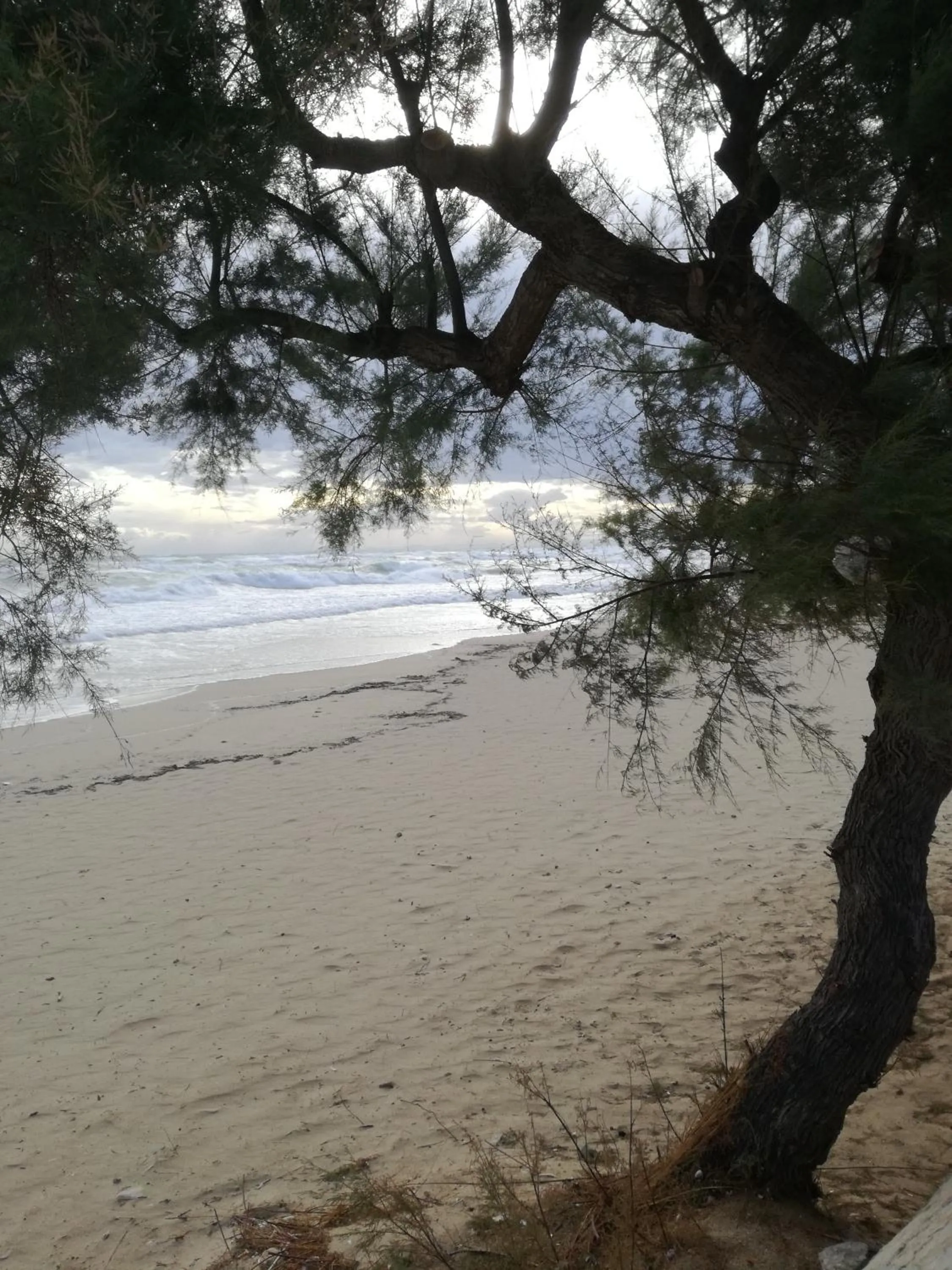 Natural landscape in Hotel Costa D'Oro