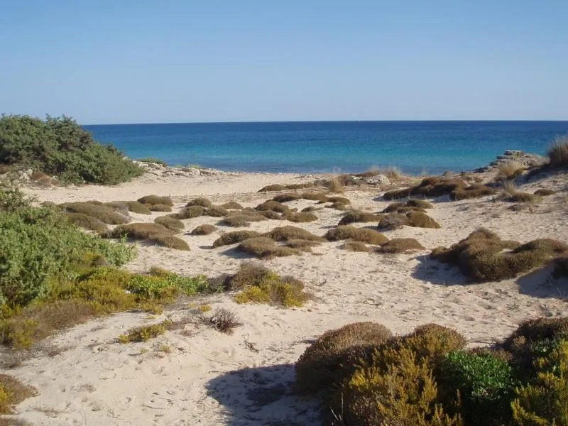 Day in Hotel Costa D'Oro