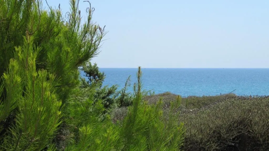 Day in Hotel Costa D'Oro