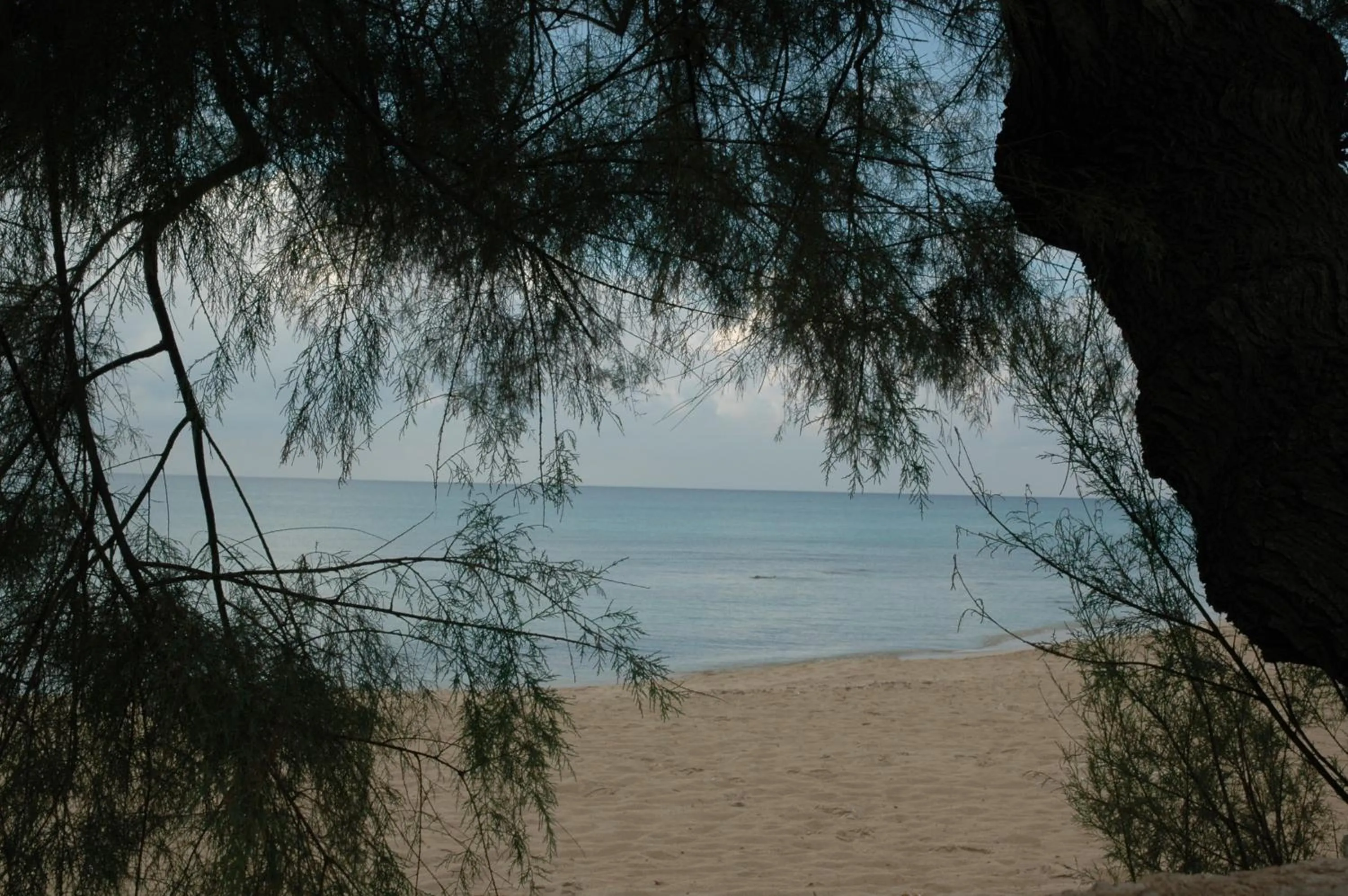 Beach in Hotel Costa D'Oro