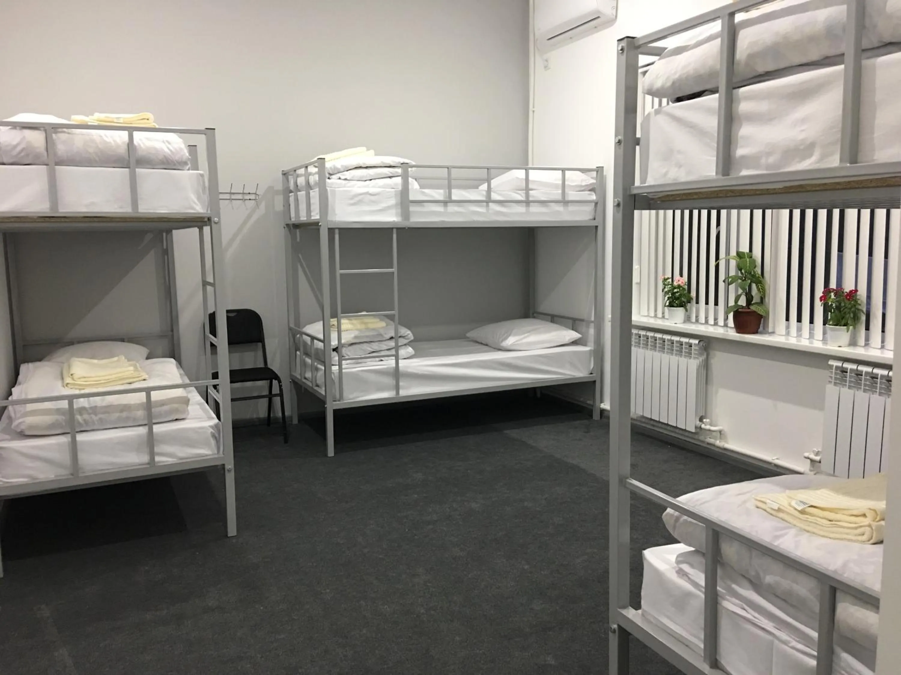 bunk bed, Bed in Jules Verne Hostel