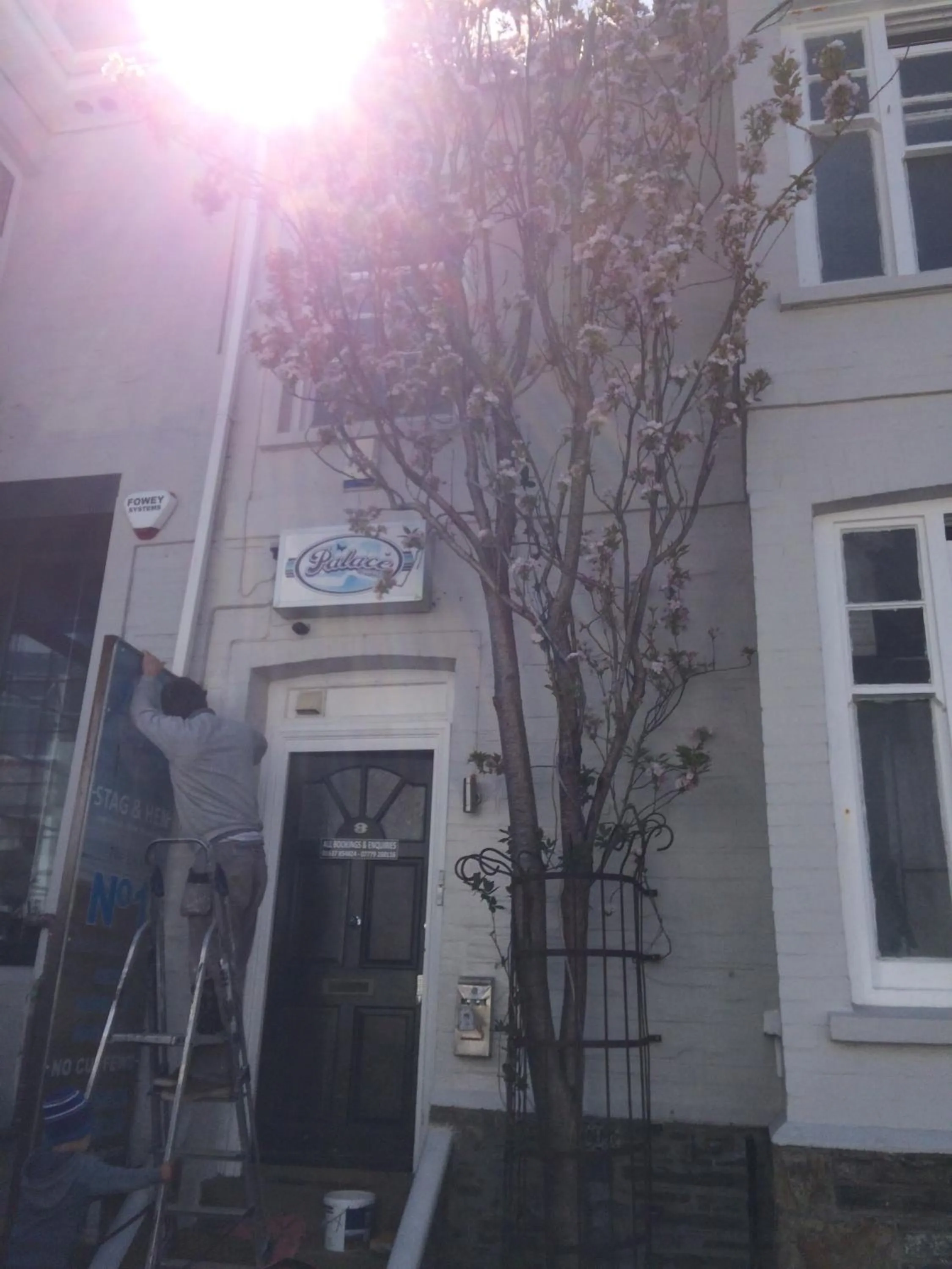 Property building in Palace Surf Lodge